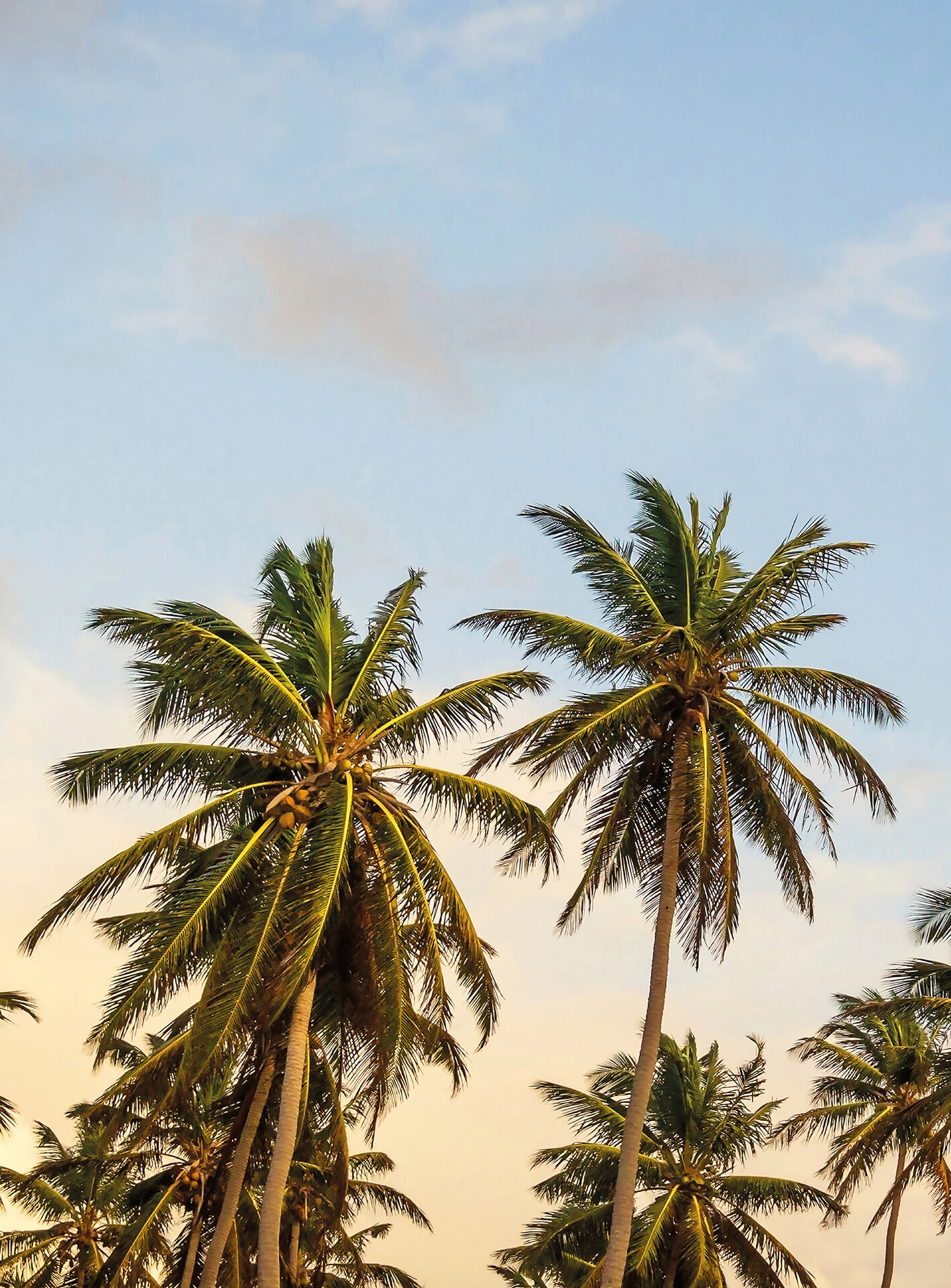 AS Fototapete Designwalls 2.0 Take me to Ibiza DD119150