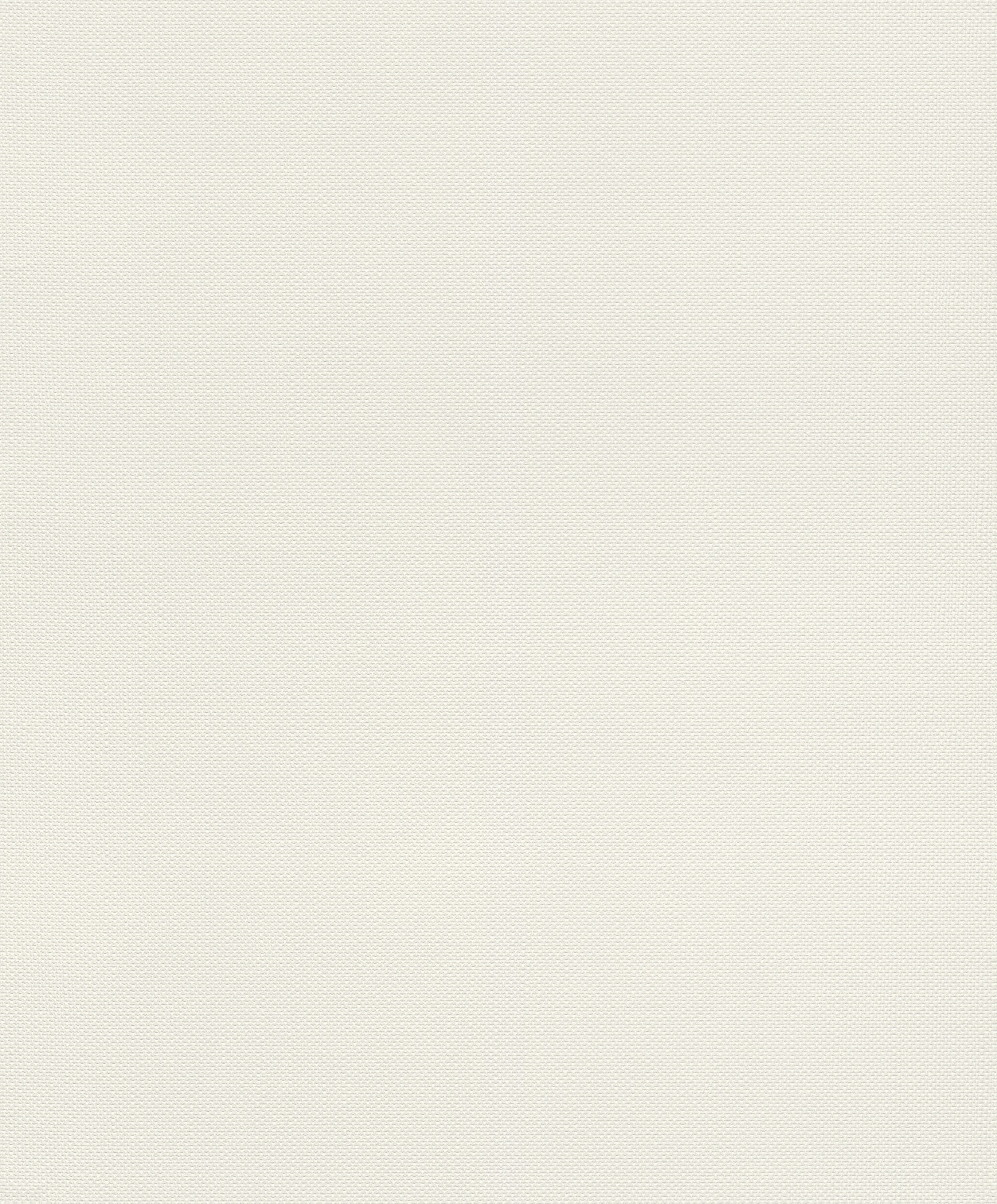 Rasch Vliestapete Deco Style Weiß-Cremeweiß 312324