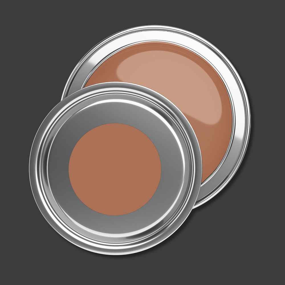 AS Premium Innenwandfarbe Puro c9009 dusty orange 1 L