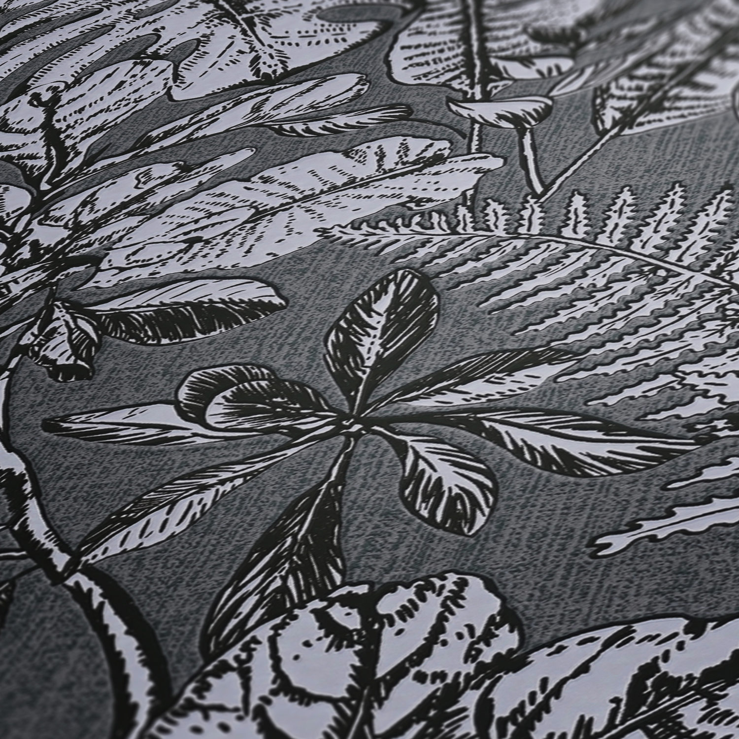 AS Vliestapete Daniel Hechter 6 Dschungeltapete grau 375205