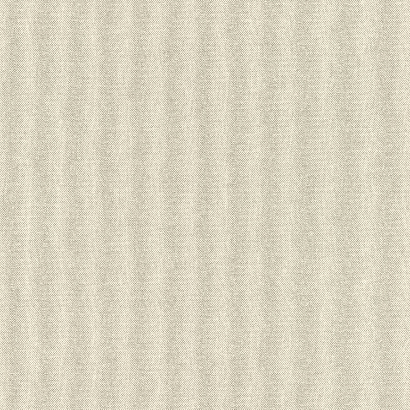 Rasch Vliestapete Allegretto Oliv-Salbeigrün pastell 423914 Rasch Vliestapete Allegretto Oliv-Salbeigrün pastell 423914