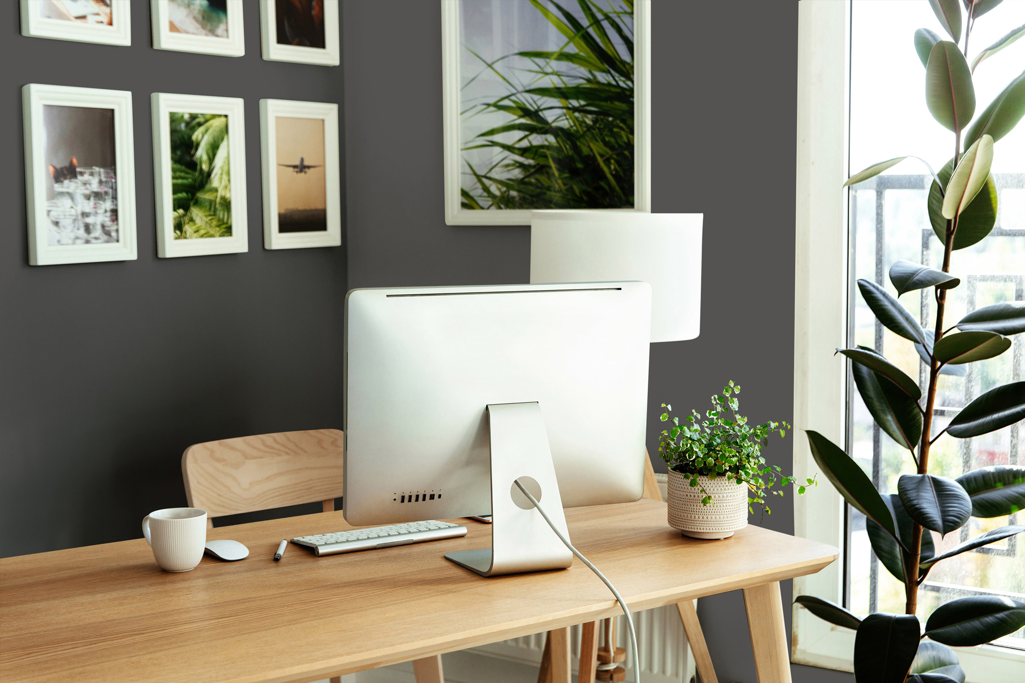 AS Wandfarbe The Color Kitchen TCK1014 Poppy Seed 2,5 L