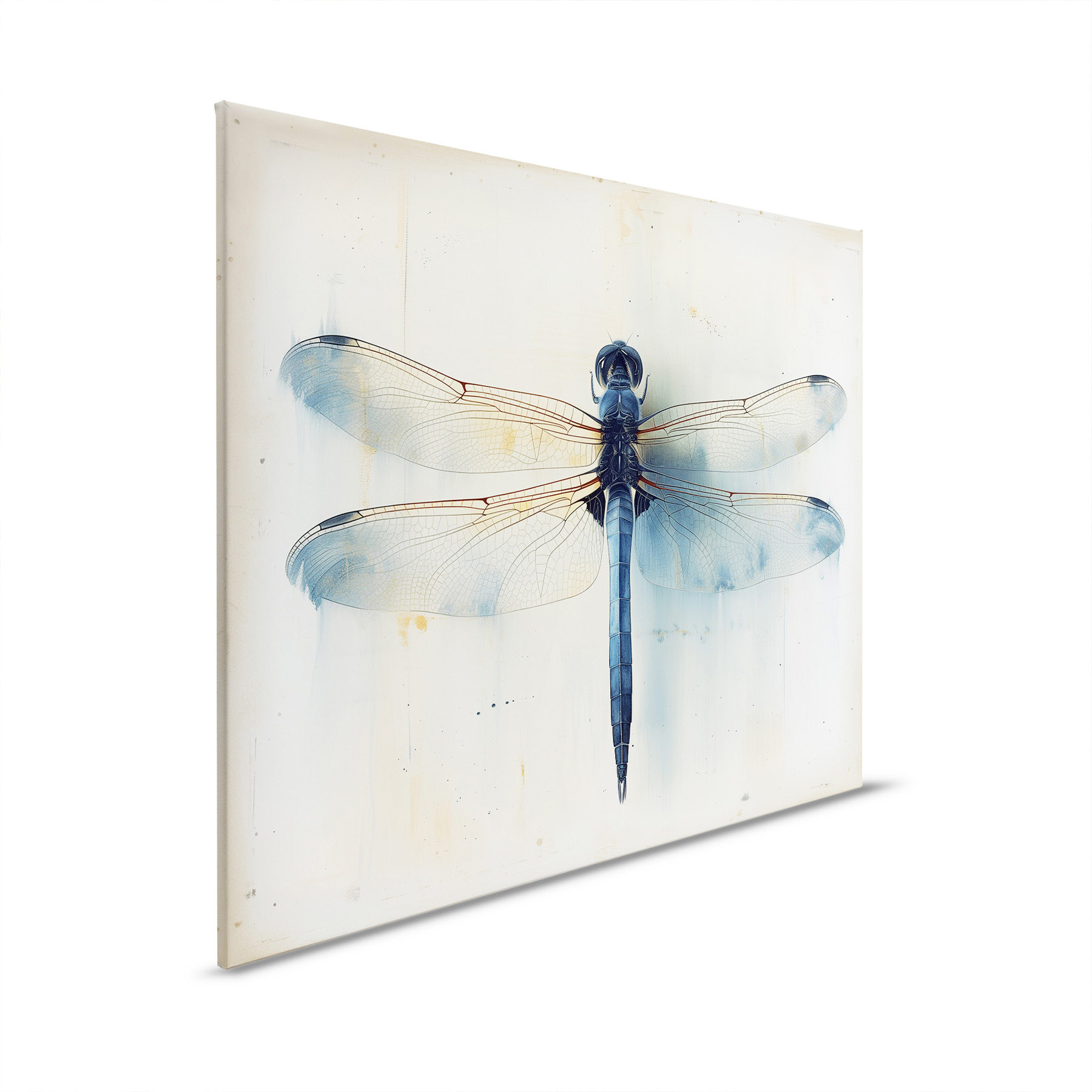 AS Leinwandbild Dragonfly DD132887