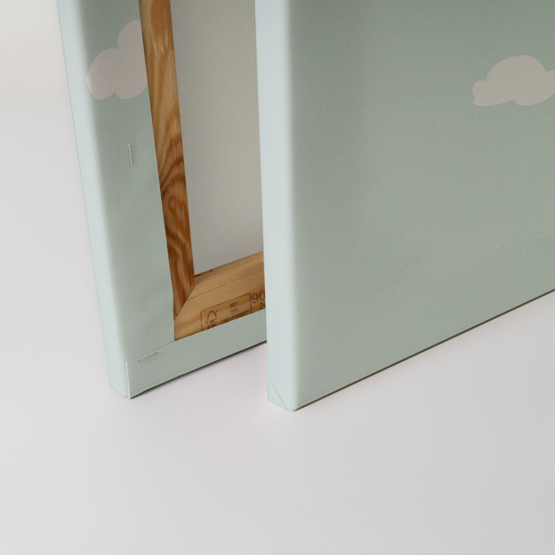 AS Leinwandbild Animal Balloon 3 DD132535