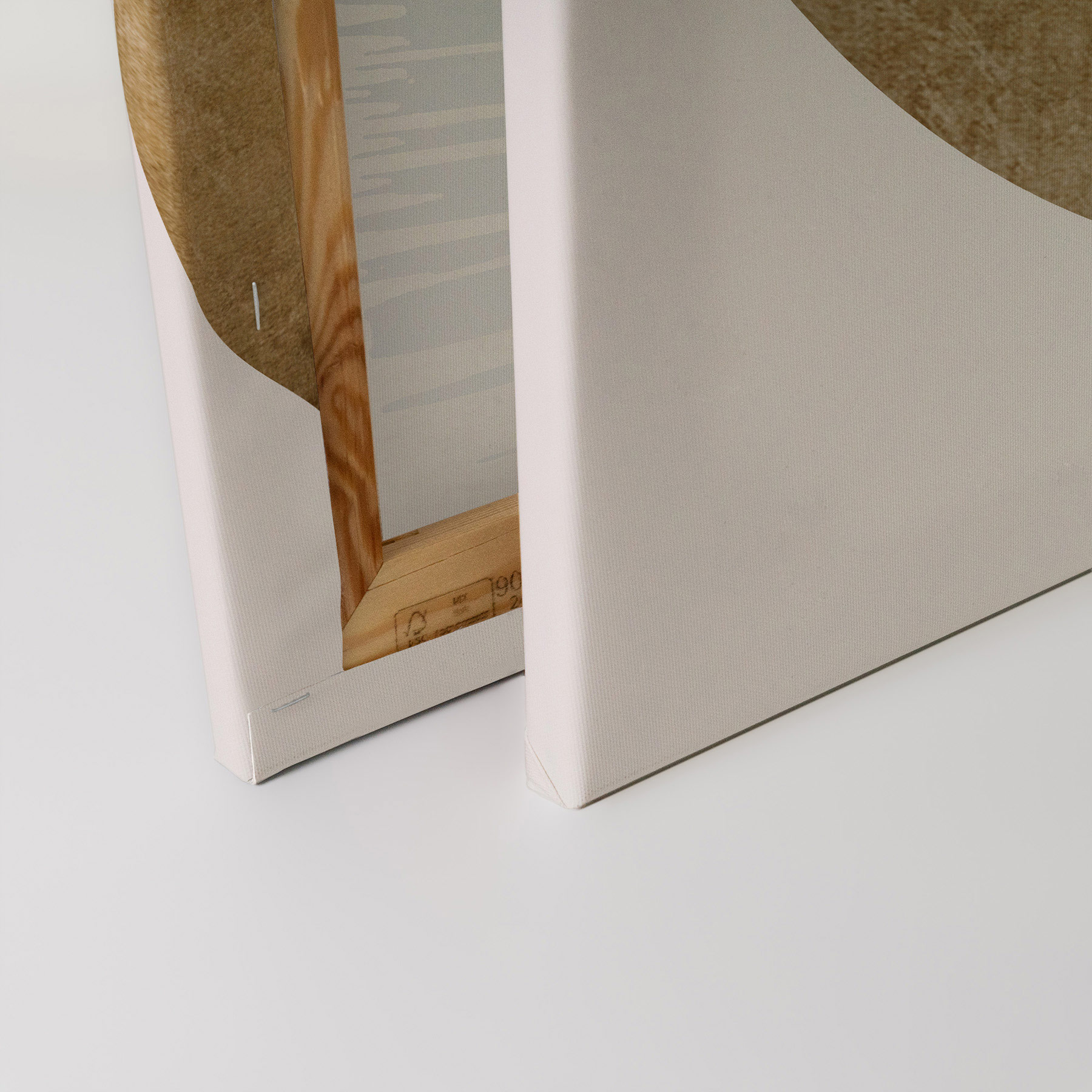 AS Leinwandbild The Swan 2 DD131761