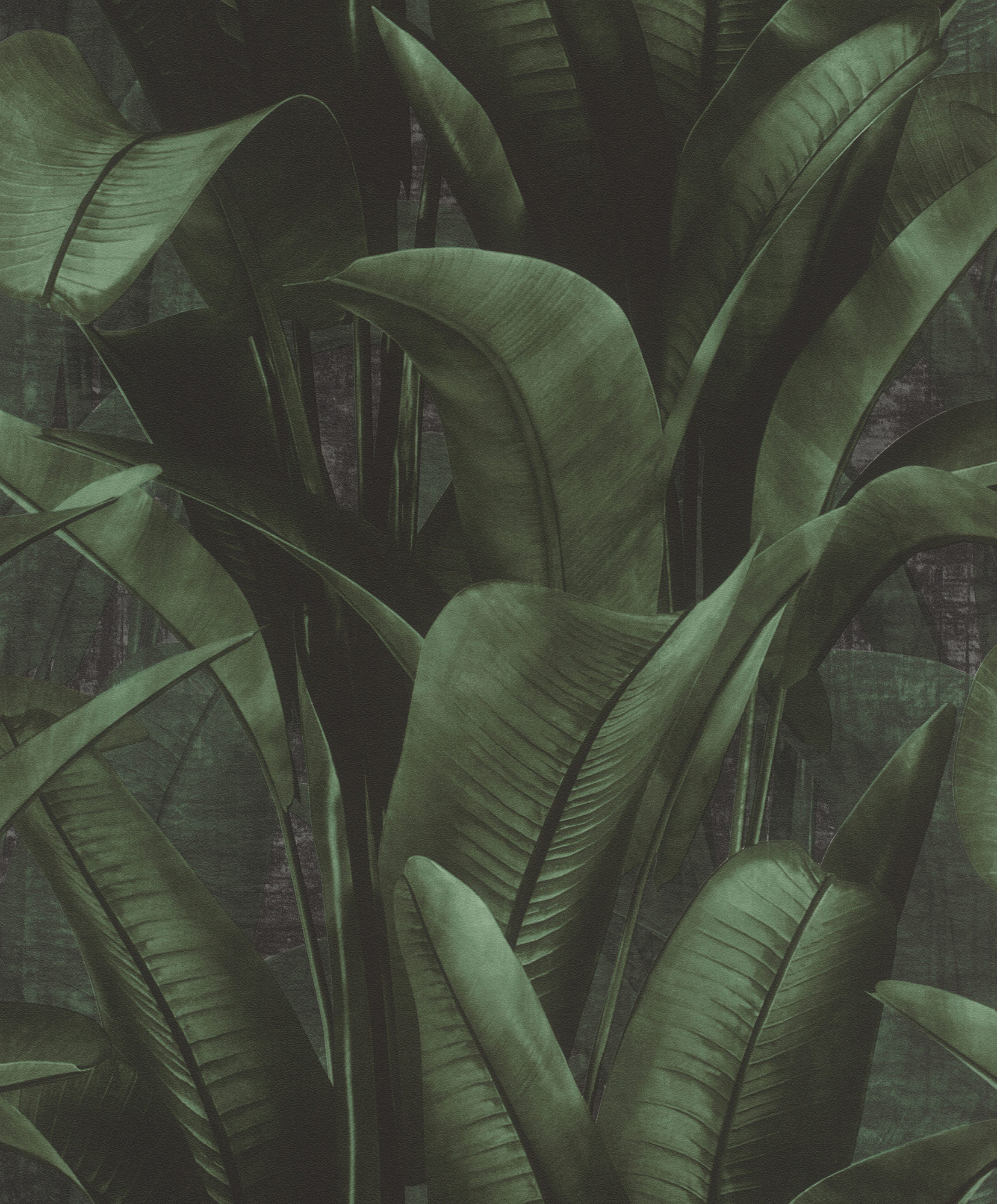 Rasch Vliestapete Back To Nature Blätter Botanik 416237