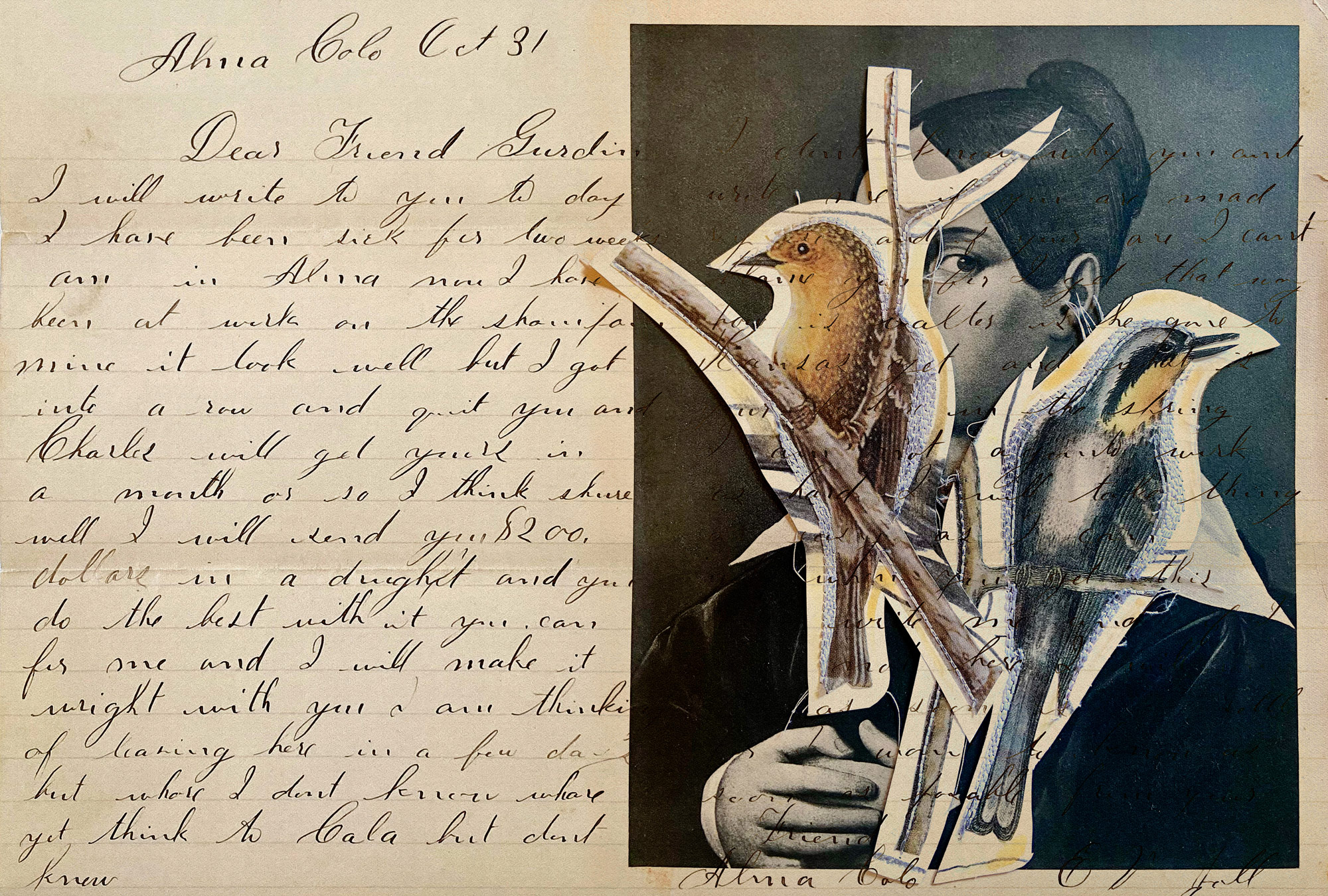 AS Fototapete Walls by Patel 5 Vögel Schwarz DD134363