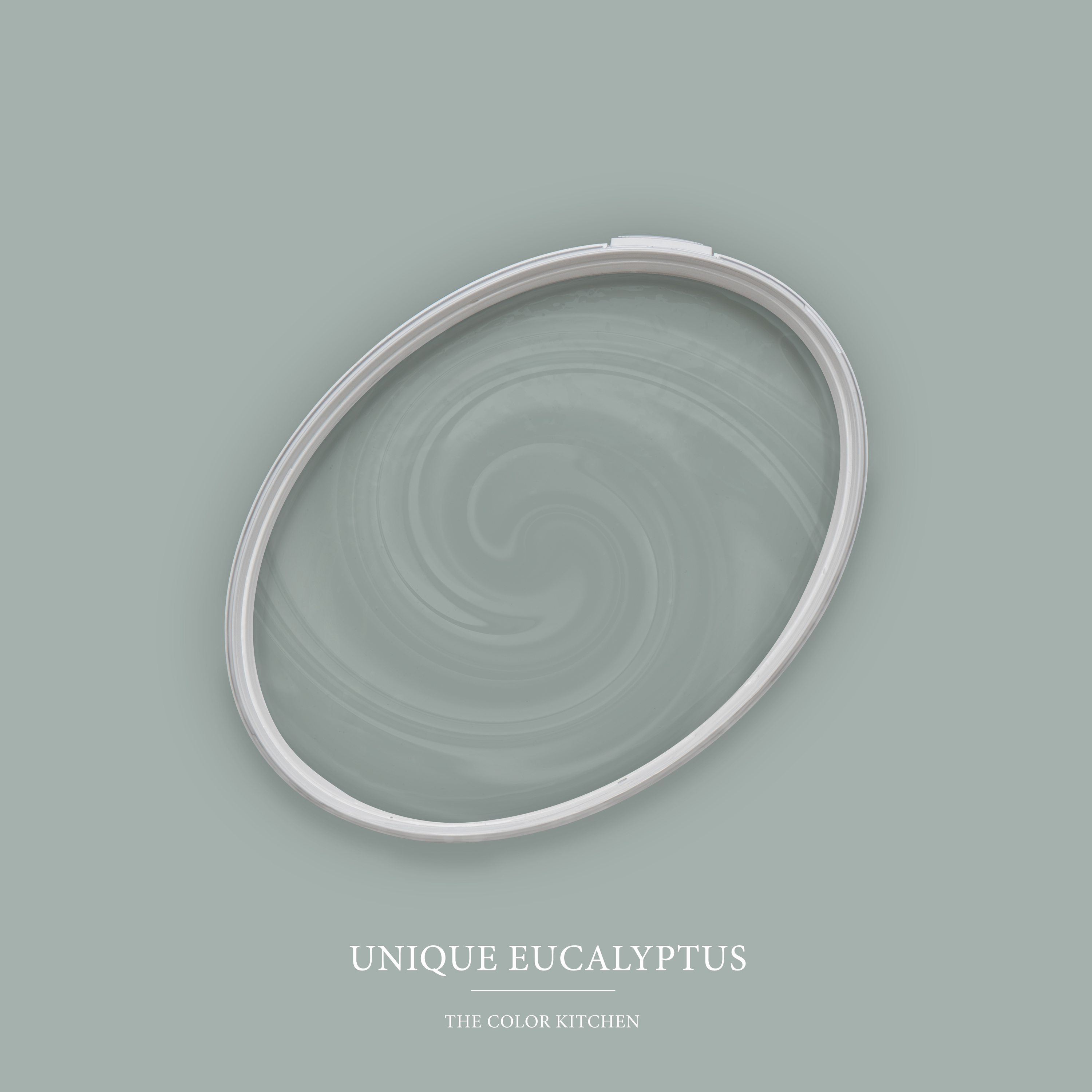 AS Wandfarbe The Color Kitchen TCK3009 Unique Eucalyptus 2,5