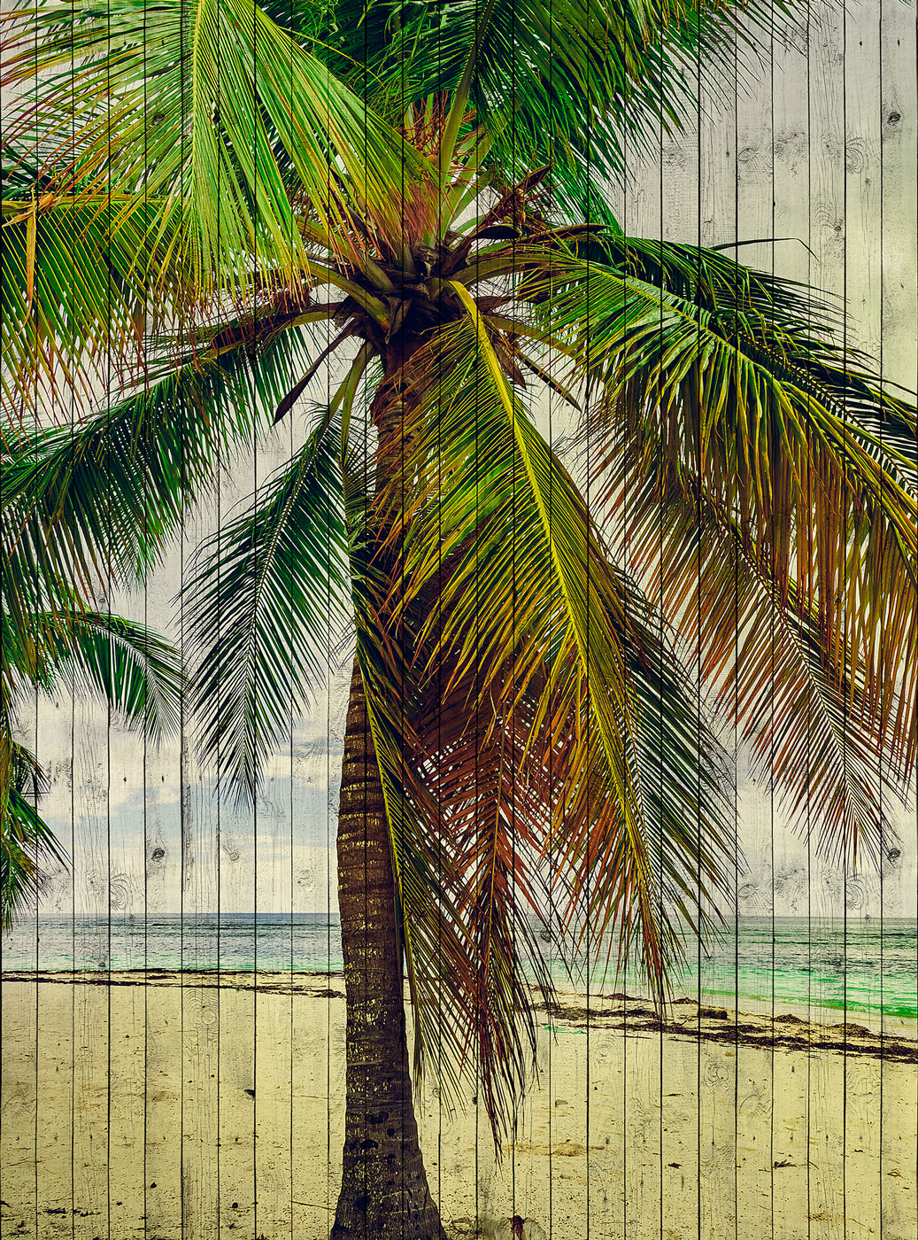 AS Fototapete Walls by Patel 2 Strand DD113682