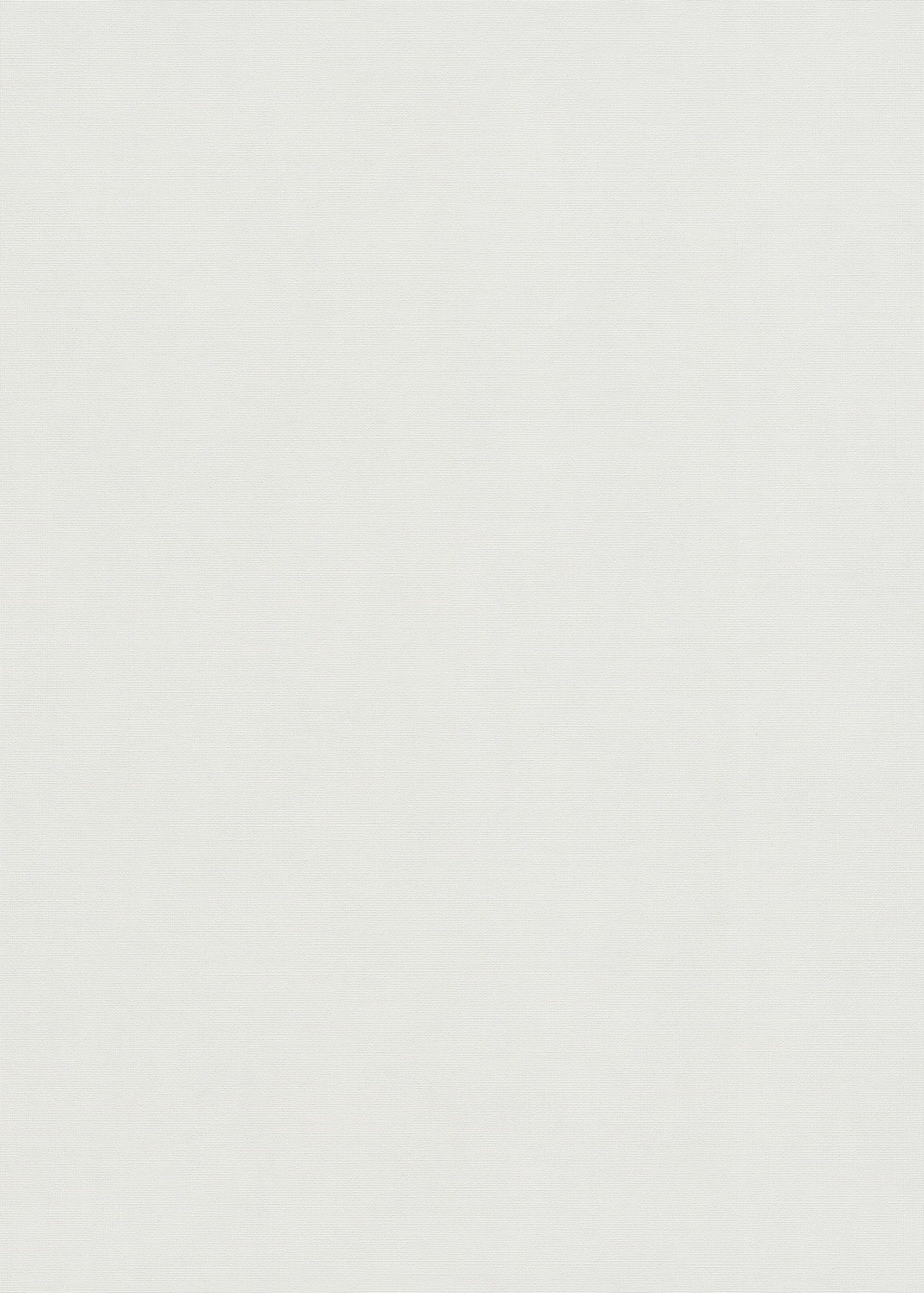 Erismann Vliestapete Elysium weiß 1047301 Erismann Vliestapete Elysium weiß 1047301