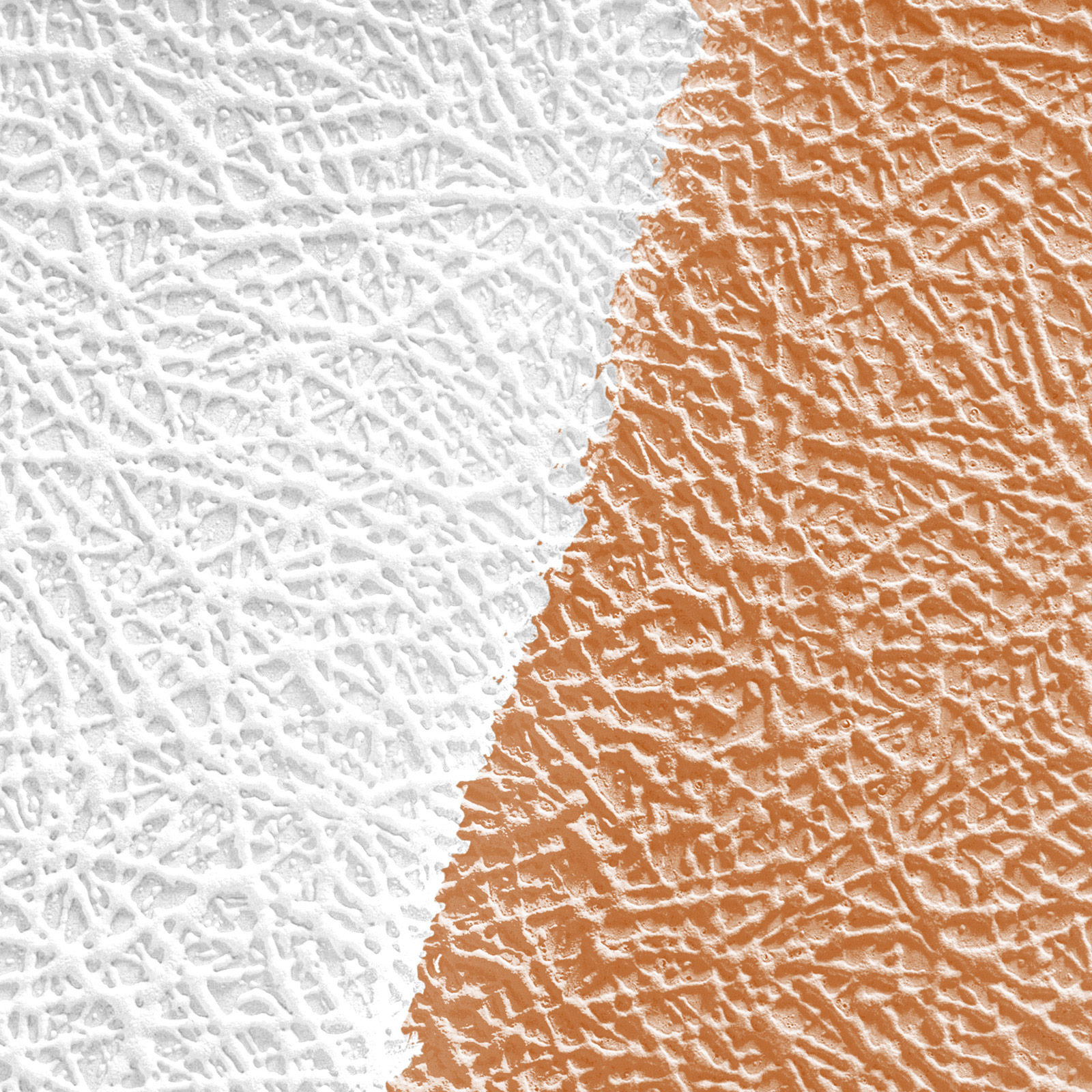 AS Vliestapete Meistervlies 8 überstreichbar 260413