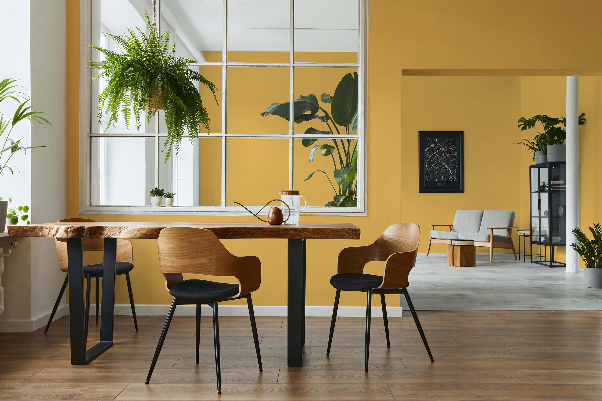 AS Premium Innenwandfarbe Puro c8005 sunny yellow 1 L