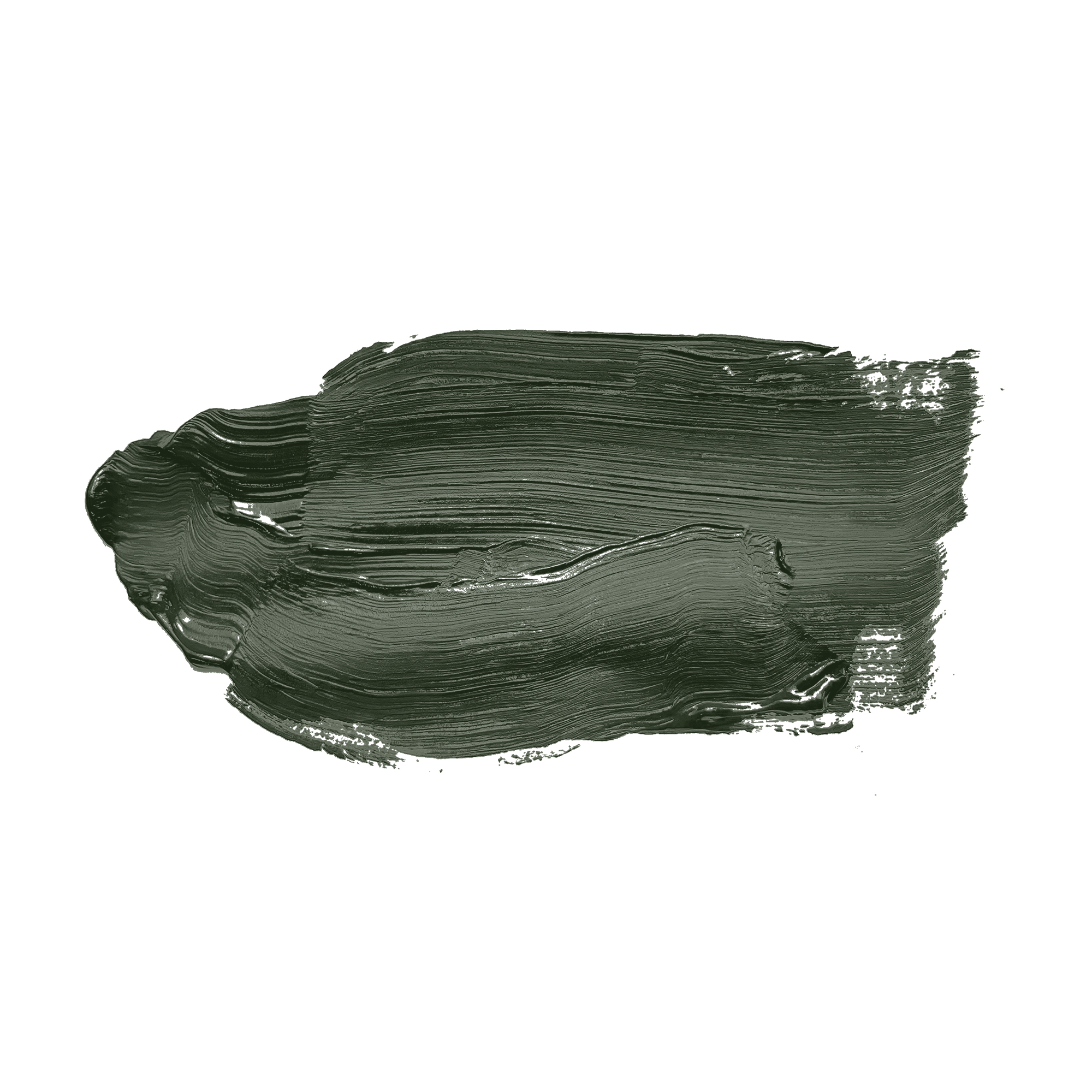 AS Wandfarbe The Color Kitchen TCK4006 Zippy Zuchini 2,5 L