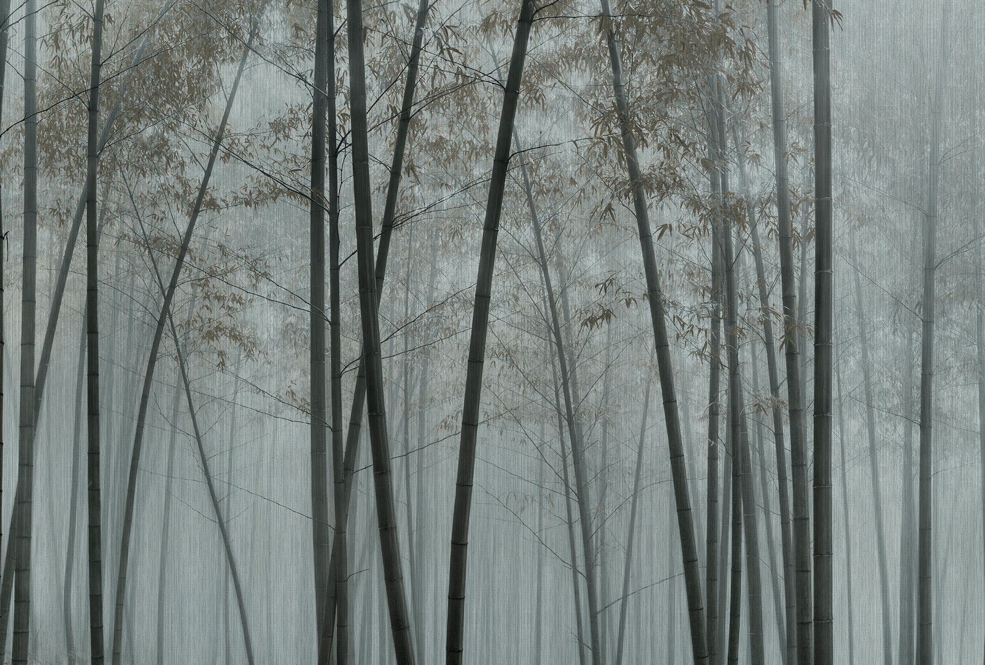 AS Fototapete Walls by Patel 3 Bambus DD122100