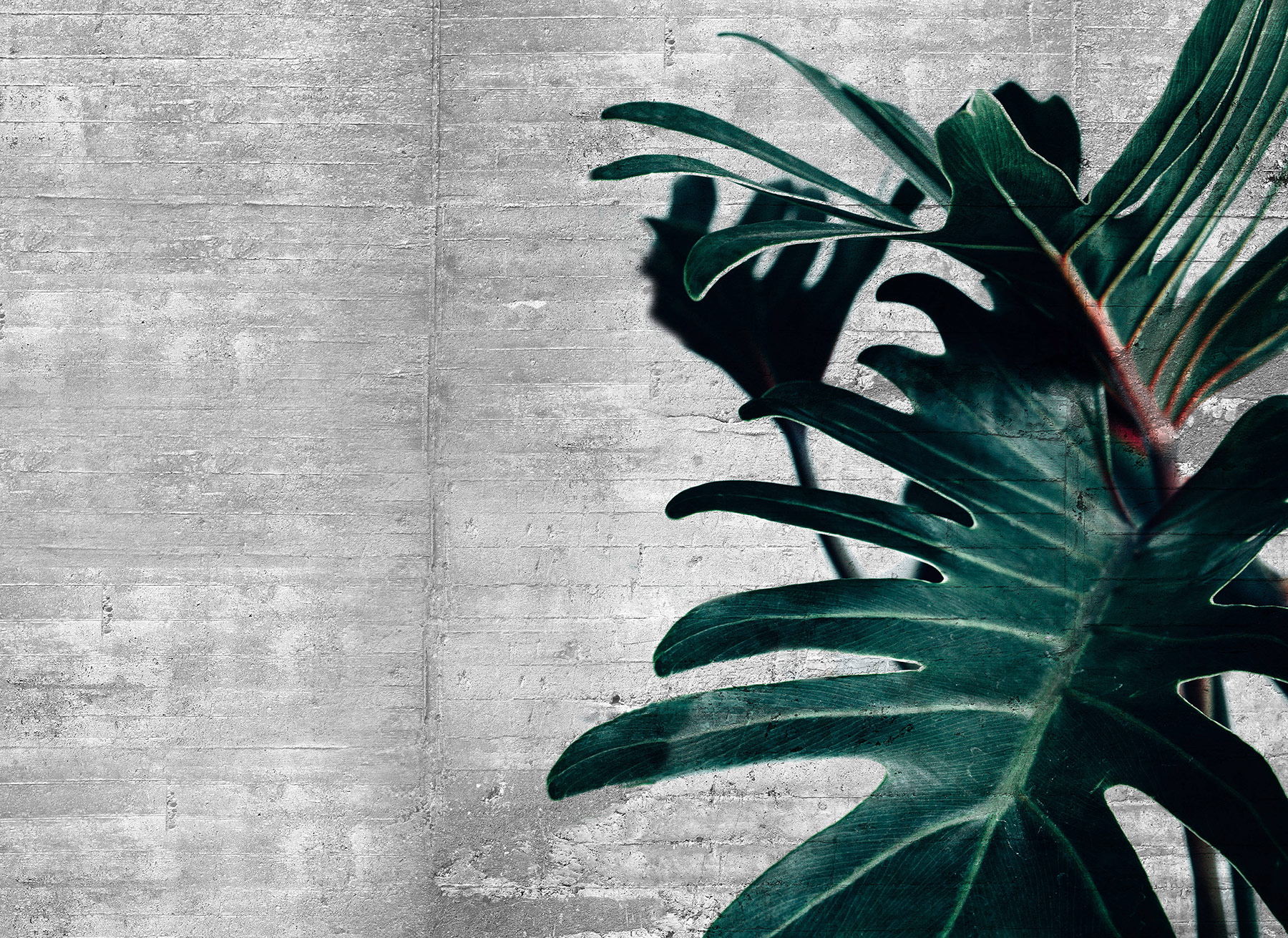 AS Fototapete Designwalls 2 Betonoptik Industrial DD123516