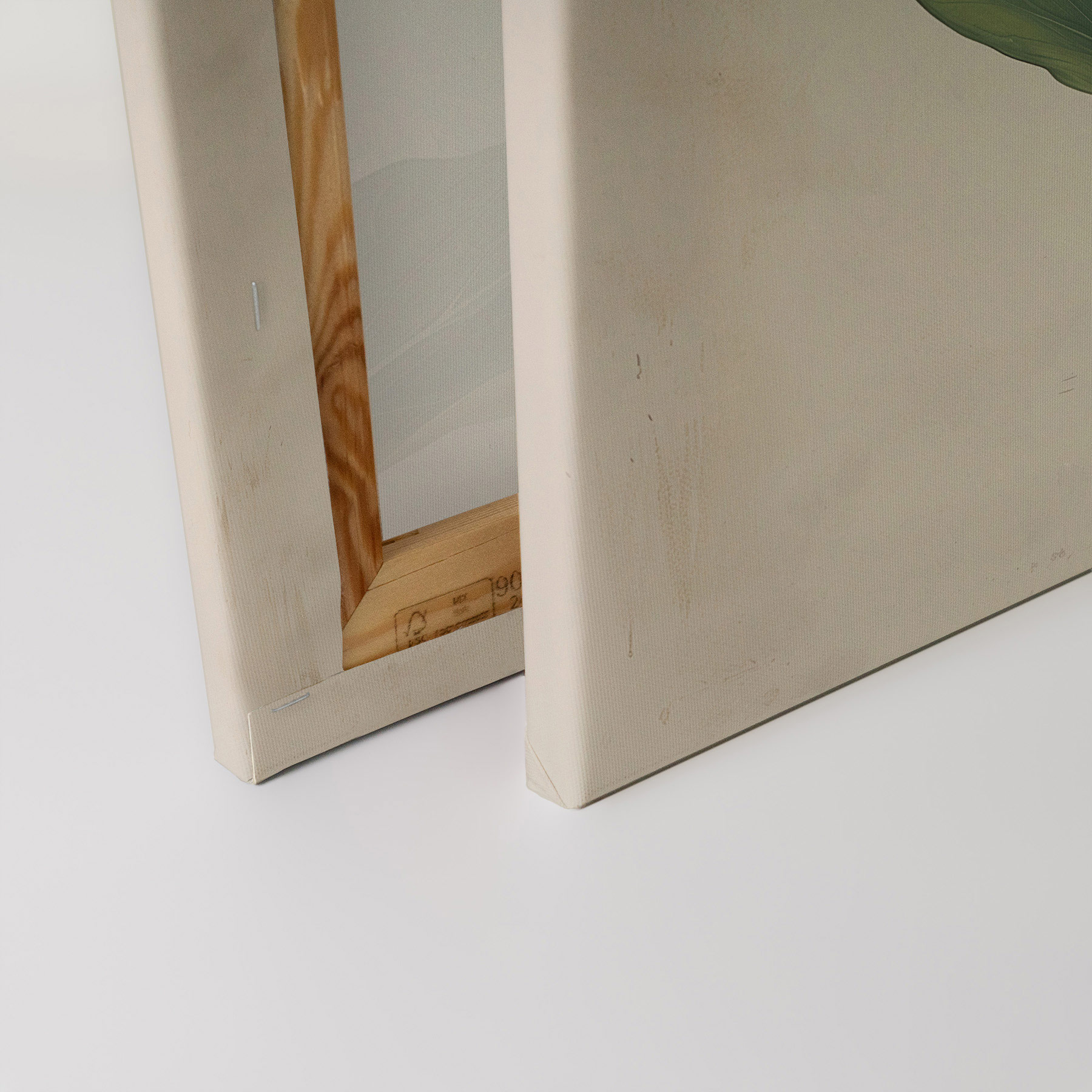 AS Leinwandbild Artischocke DD132923