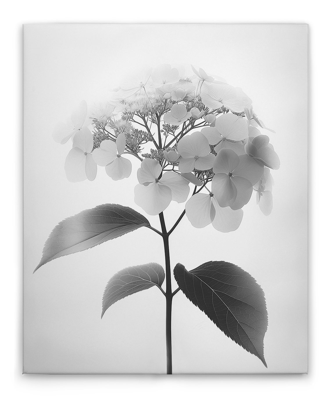 AS Leinwandbild Blumen SW 2 DD132889