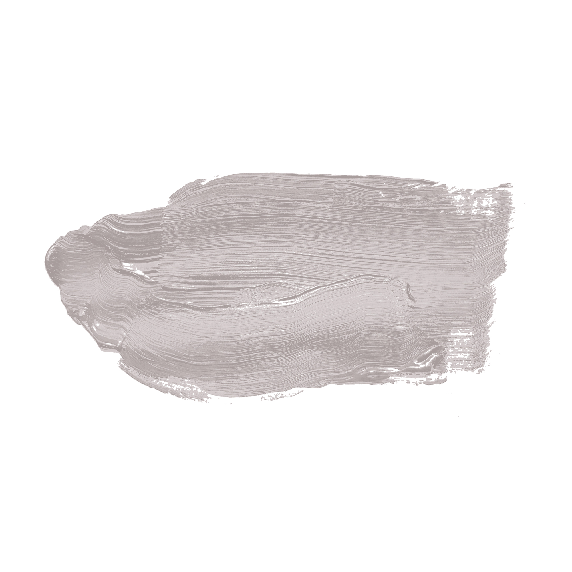 AS Wandfarbe The Color Kitchen TCK2000 Calm Clam 2,5 L