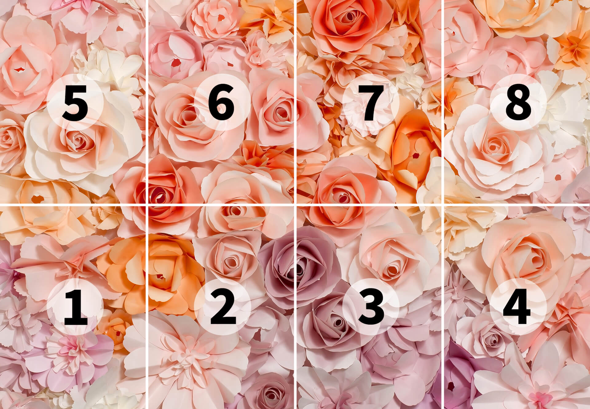 AS Fototapete Designwalls 2.0 Flowers Blumen DD118872