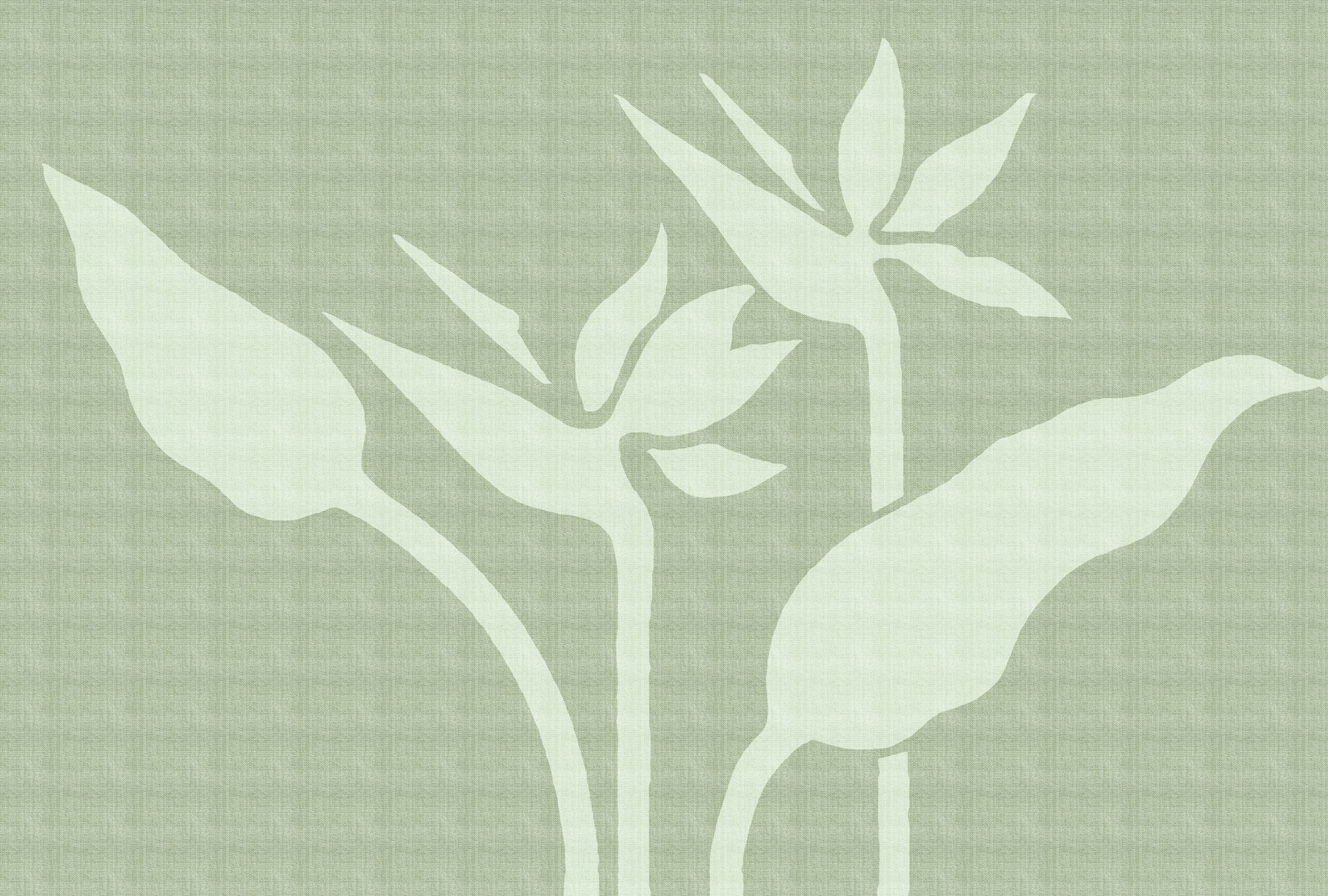 AS Fototapete Walls by Patel 5 Pflanzen Grün DD134771