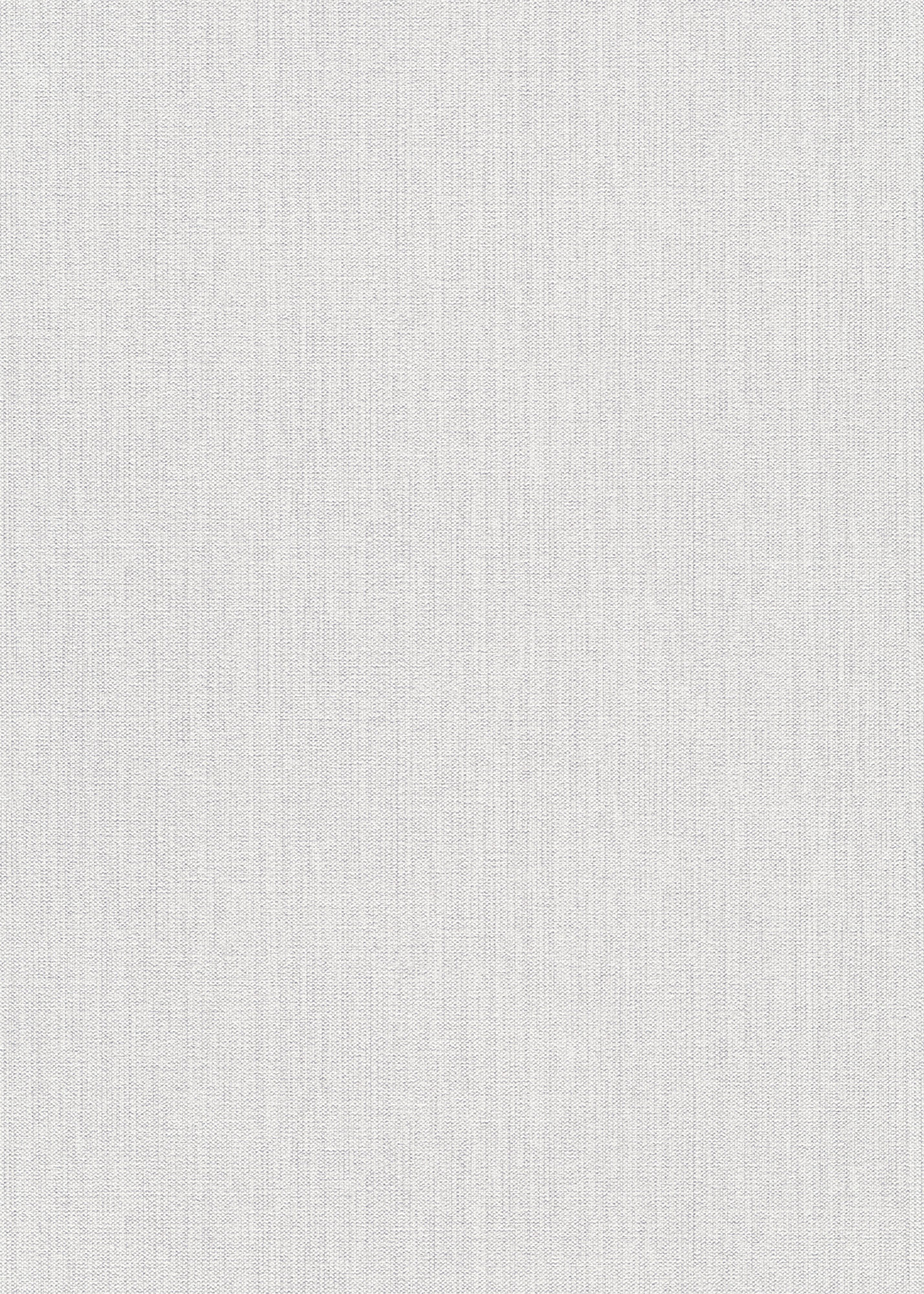 Erismann Vliestapete Forest Dreams hellgrau 1055931