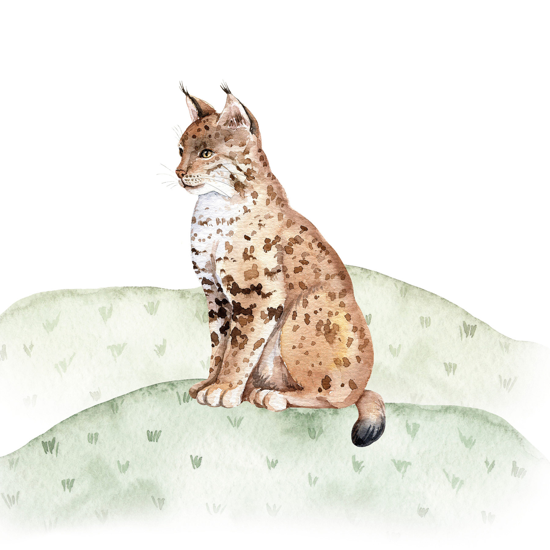 AS Leinwandbild Sweet Forest 1 DD129436