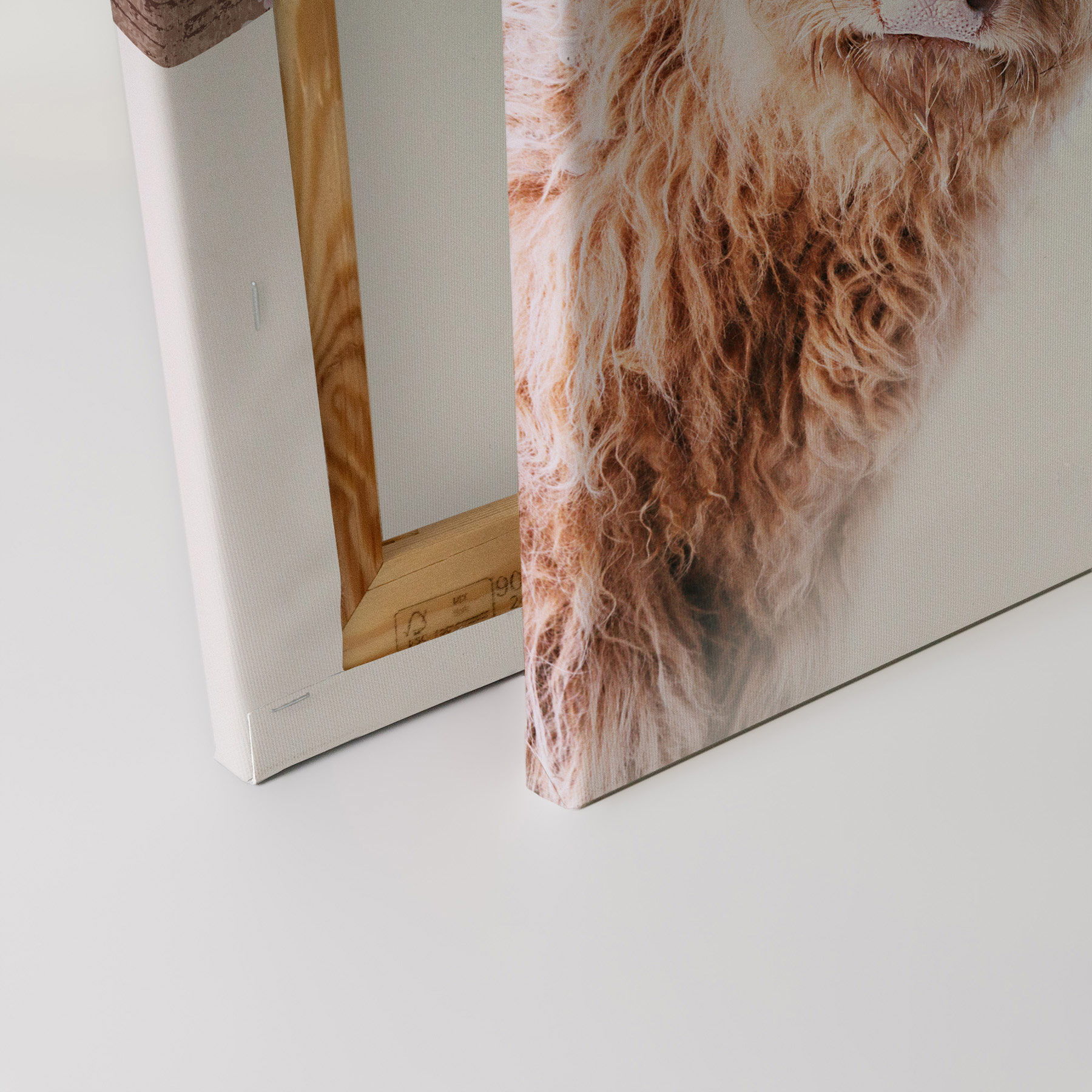 AS Leinwandbild Highland Cattle 2 DD132238