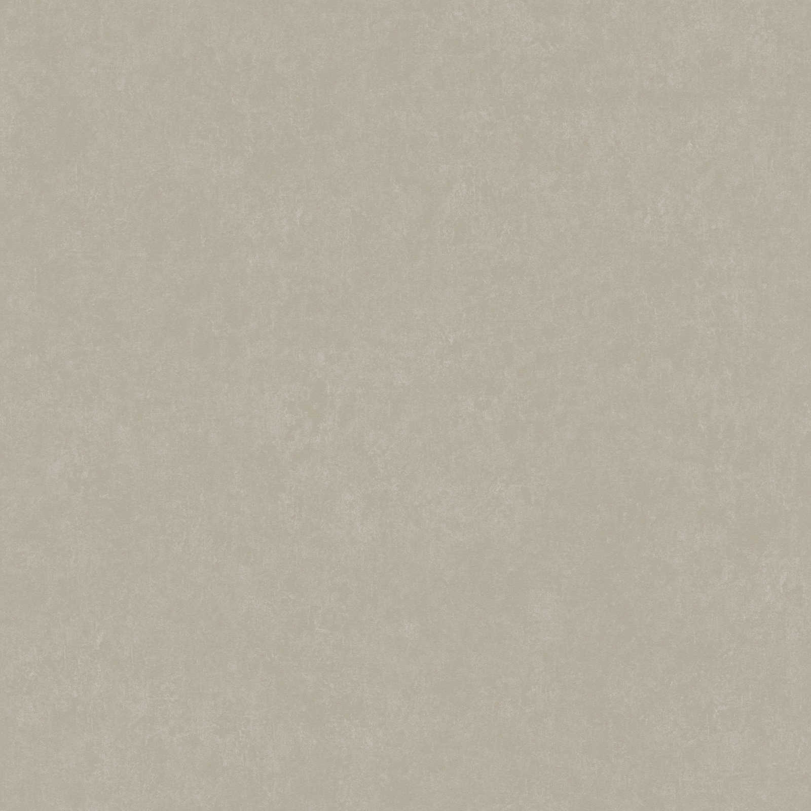 AS Creation Vliestapete Geo Effect grau 385949