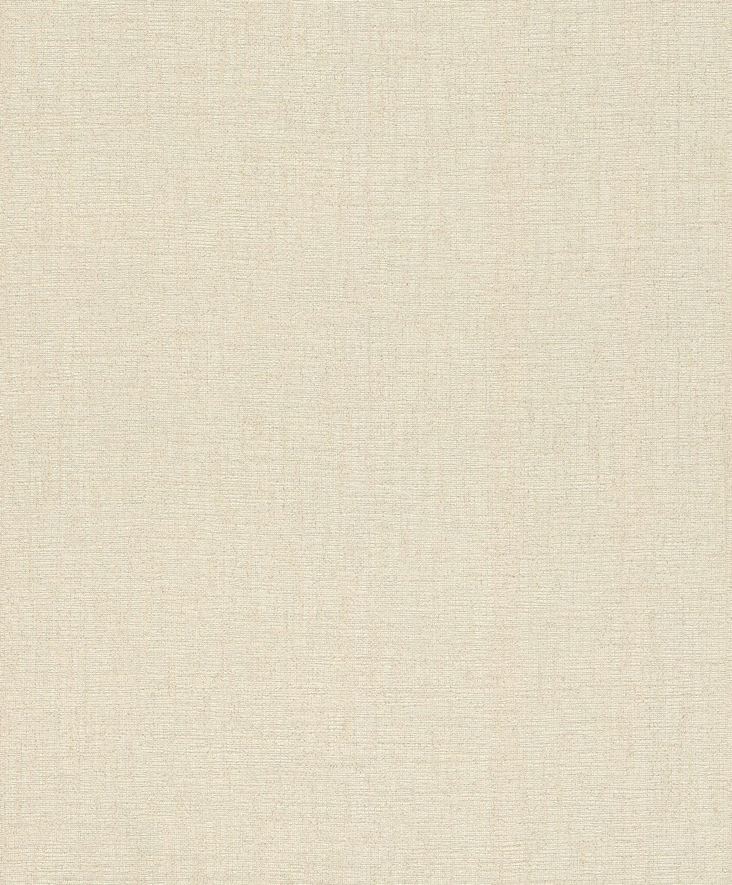 Rasch Vliestapete Andy Wand Uni 650570