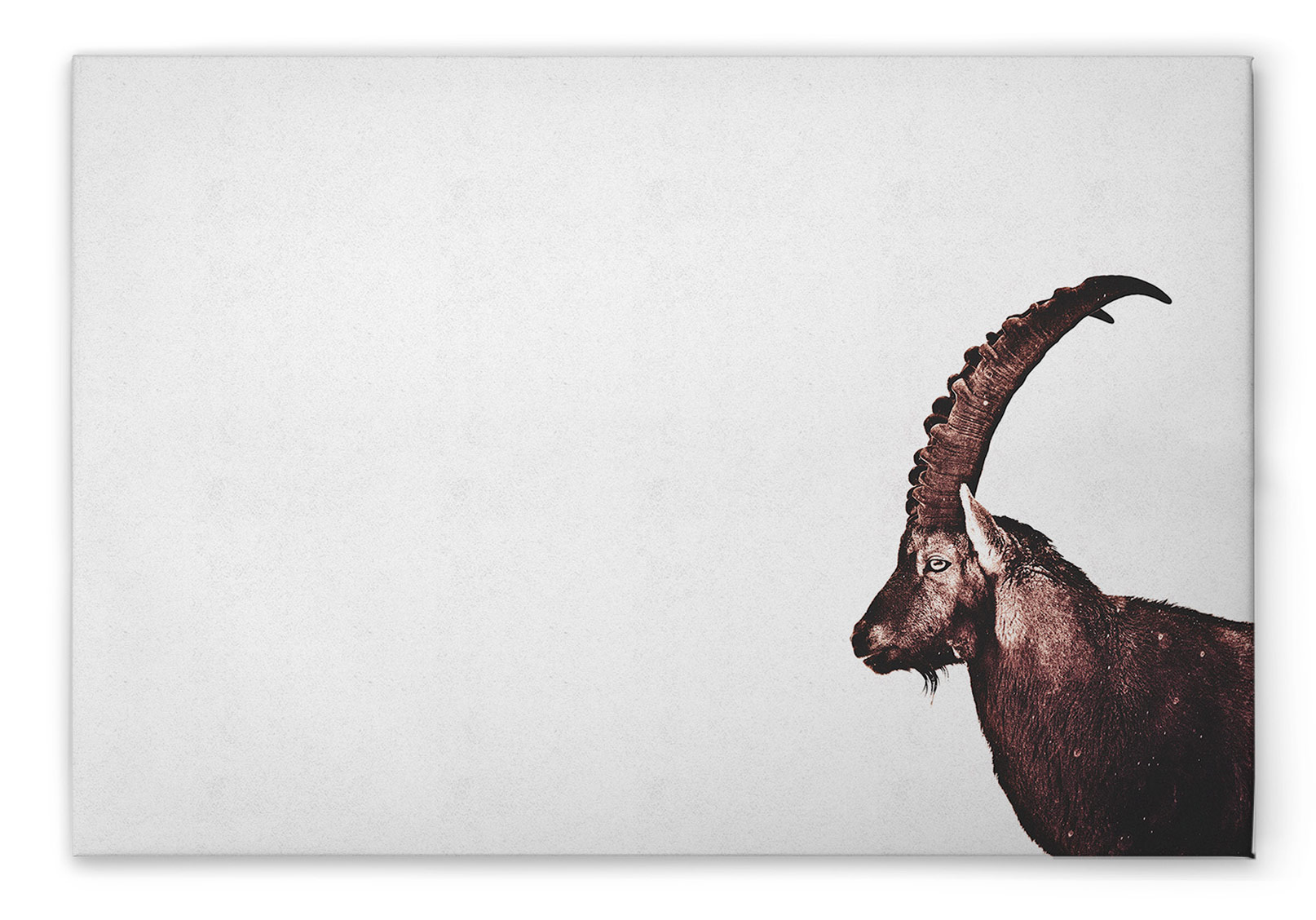 AS Leinwandbild Capricorn Snow DD132218