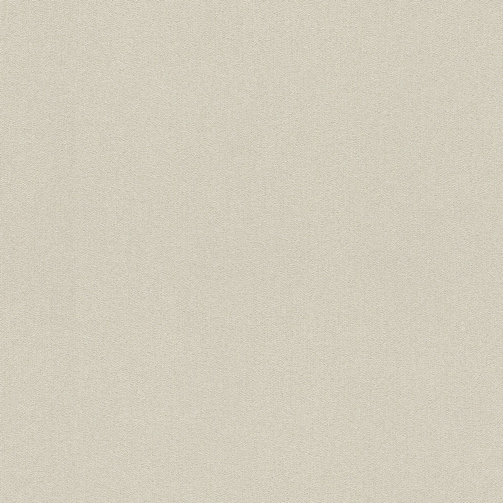 Rasch Vliestapete Welcome Home Grau-Hellgrau 441642 Rasch Vliestapete Welcome Home Grau-Hellgrau 441642