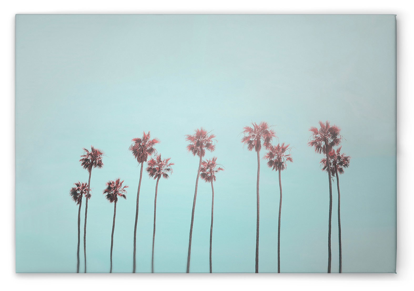 AS Leinwandbild Tropical Trees DD132163