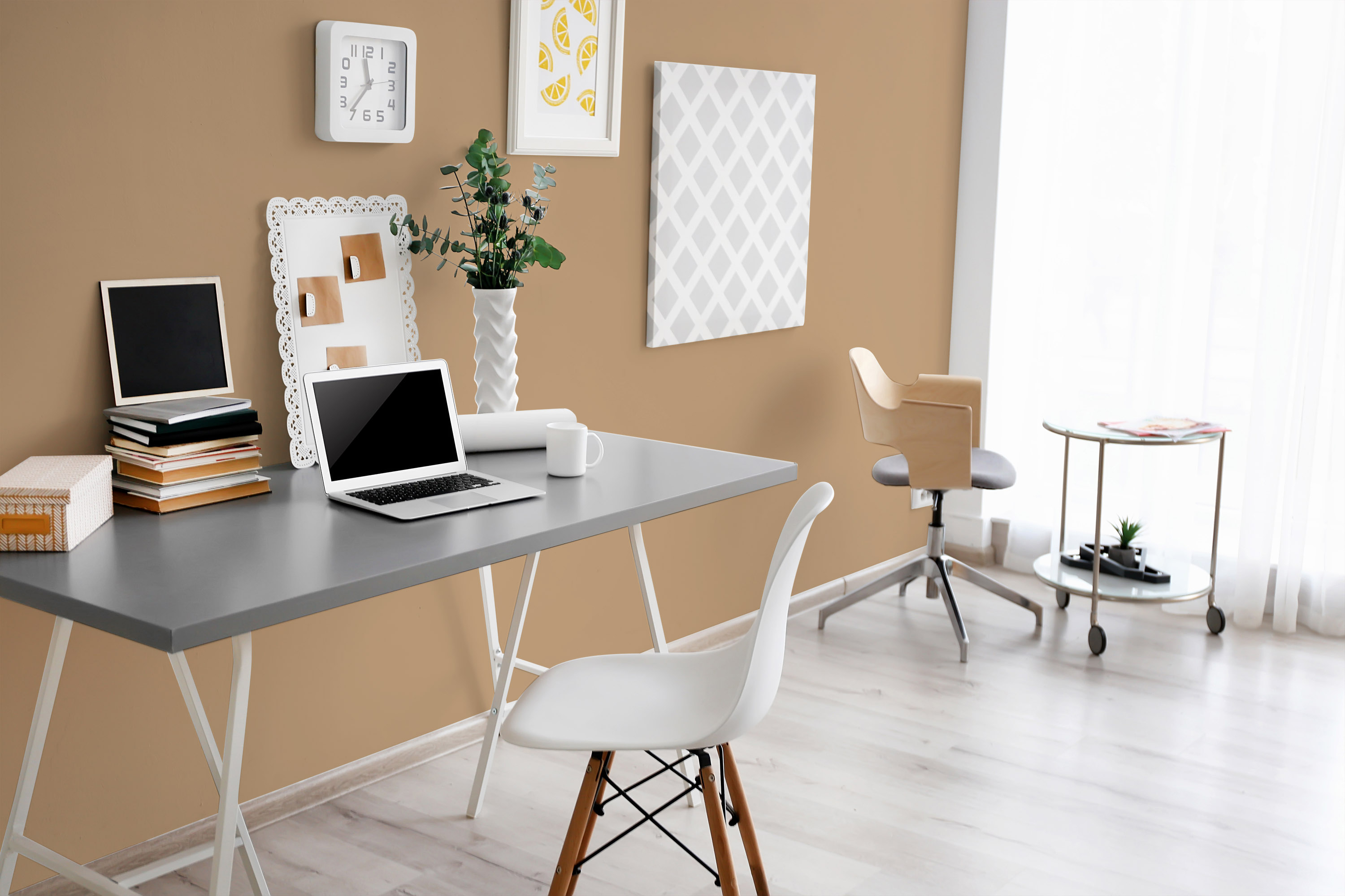 AS Wandfarbe The Color Kitchen TCK6004 Active Almond 2,5 L