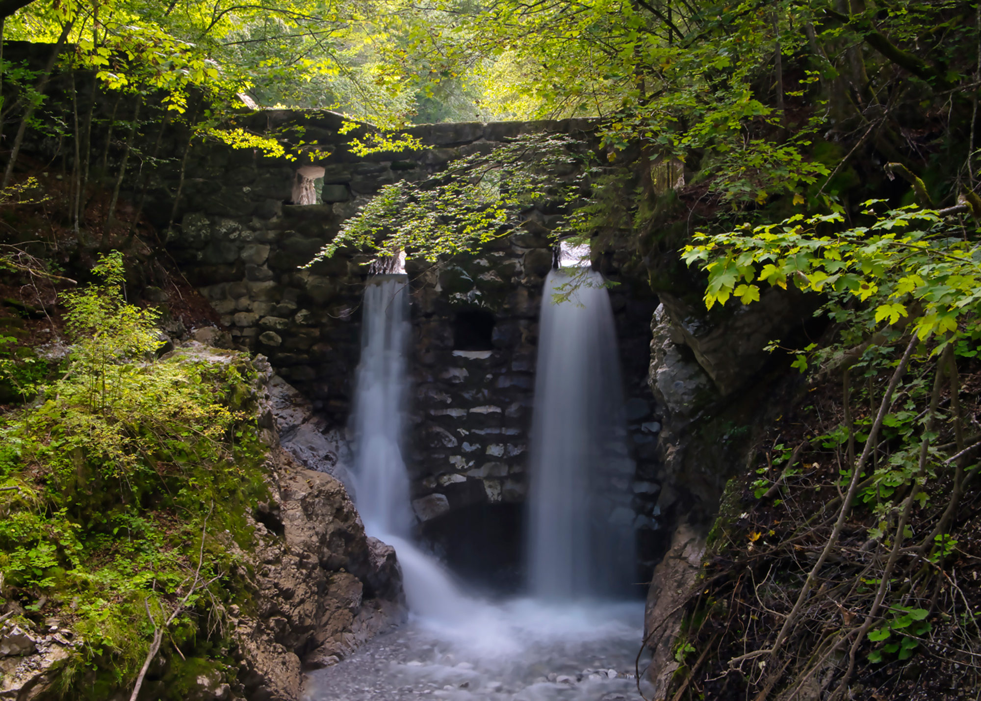 Rasch Fototapete Magic Walls Bach Bäume 364668