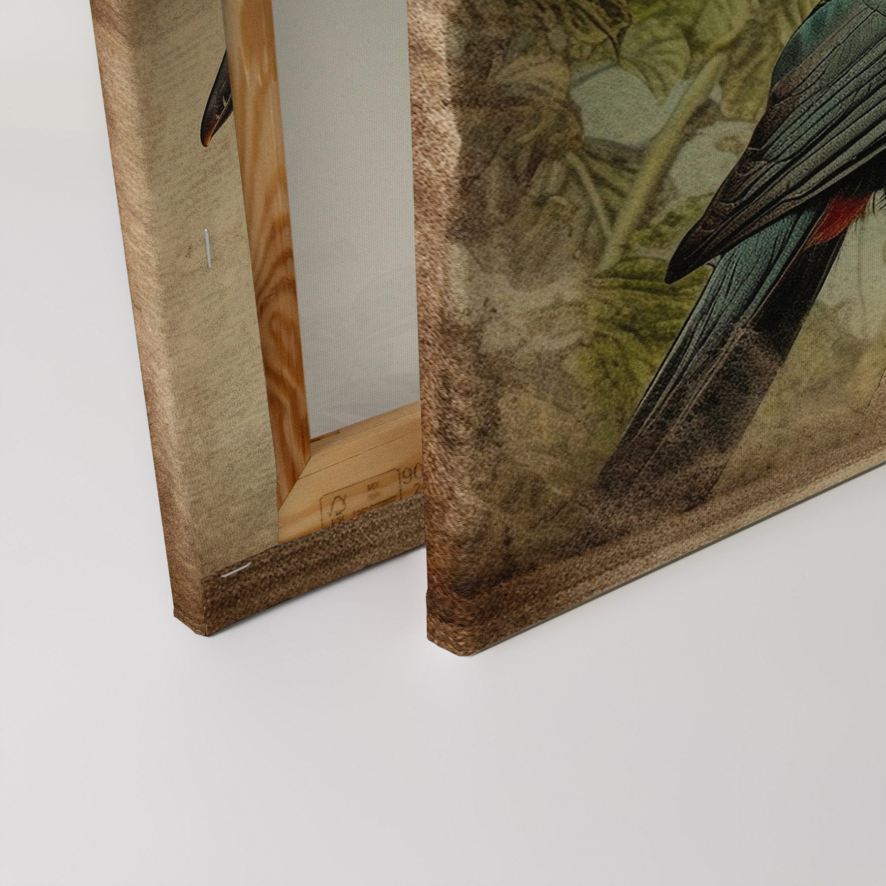 AS Leinwandbild Toucan Vintage DD133356