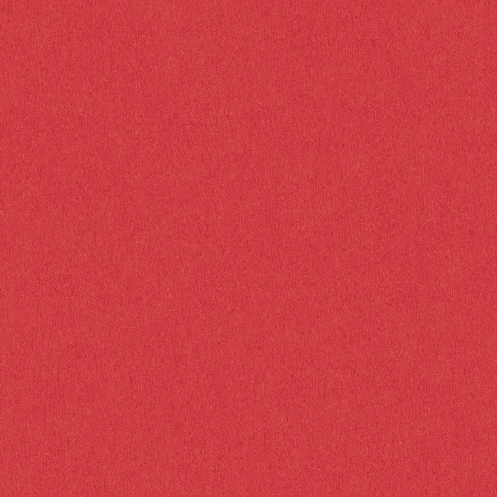 AS Vliestapete Little Love Unitapete 383242