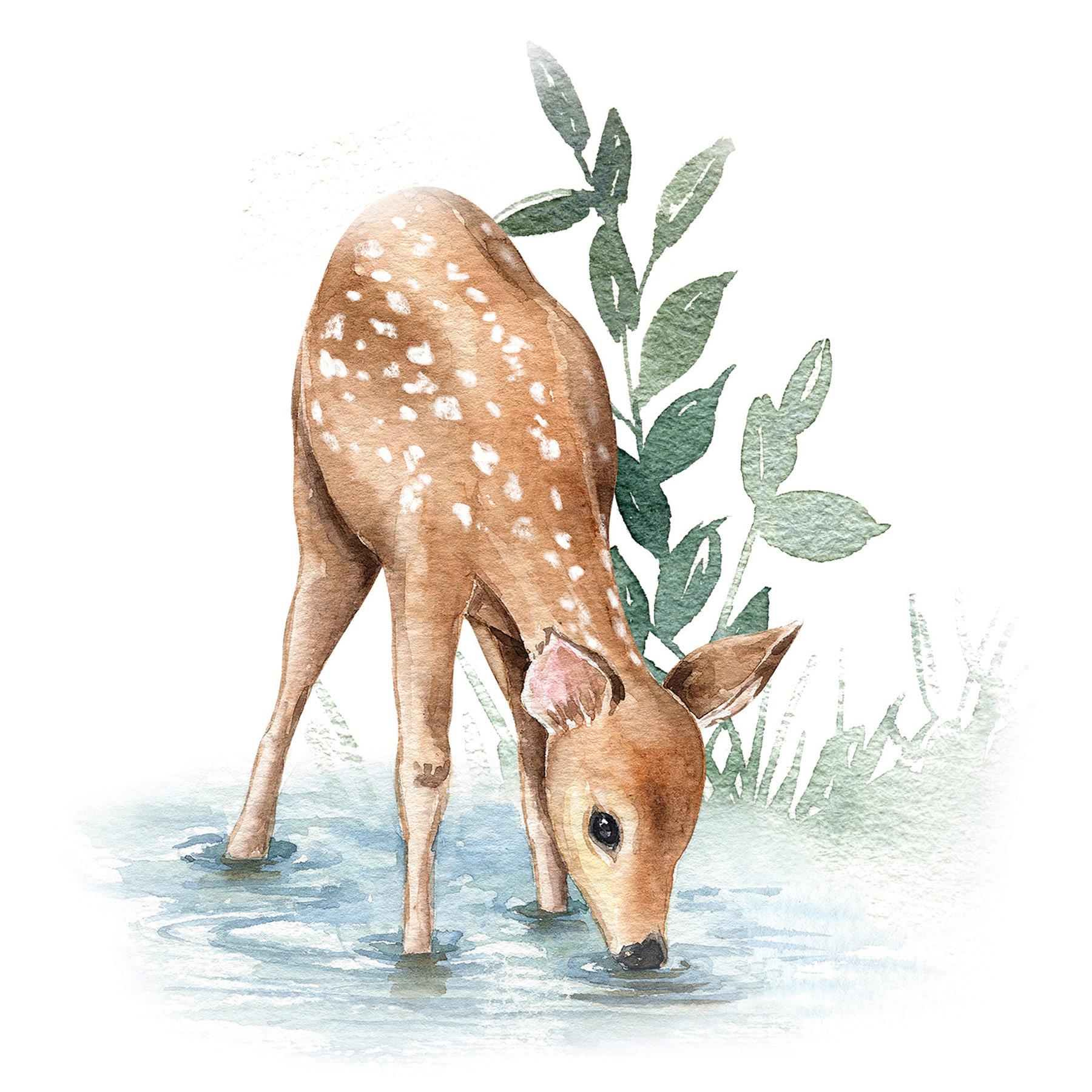 AS Leinwandbild Sweet Forest 3 DD129438