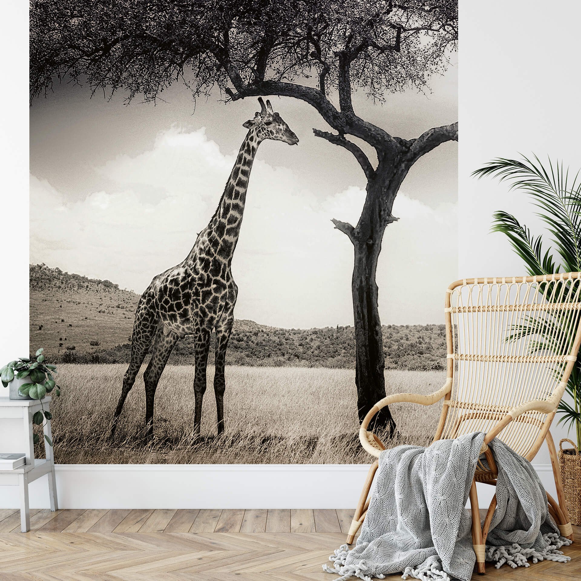 AS Fototapete Designwalls 2.0 Giraffe Safari DD119075