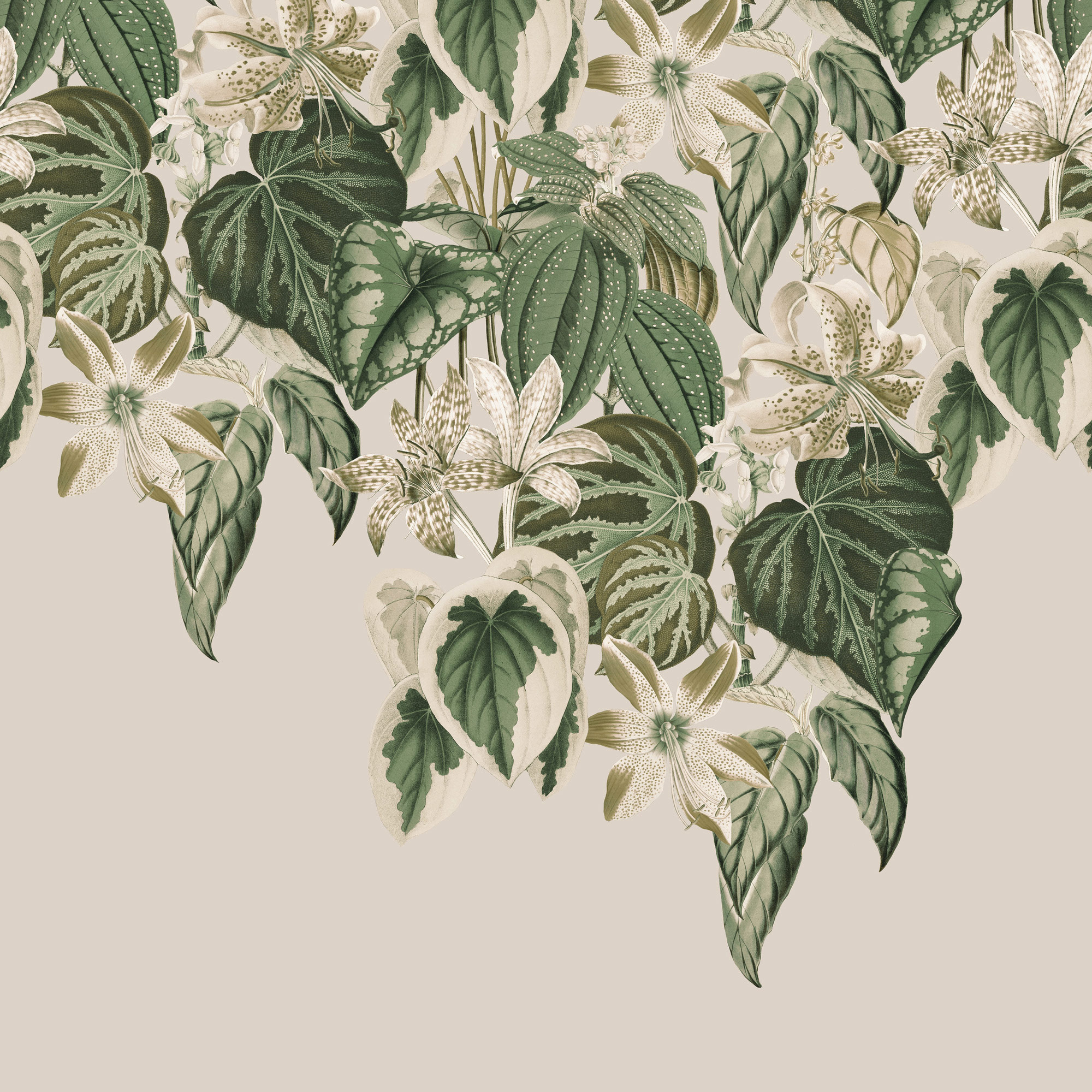 Rasch Fototapete Magic Walls Blätter 590012