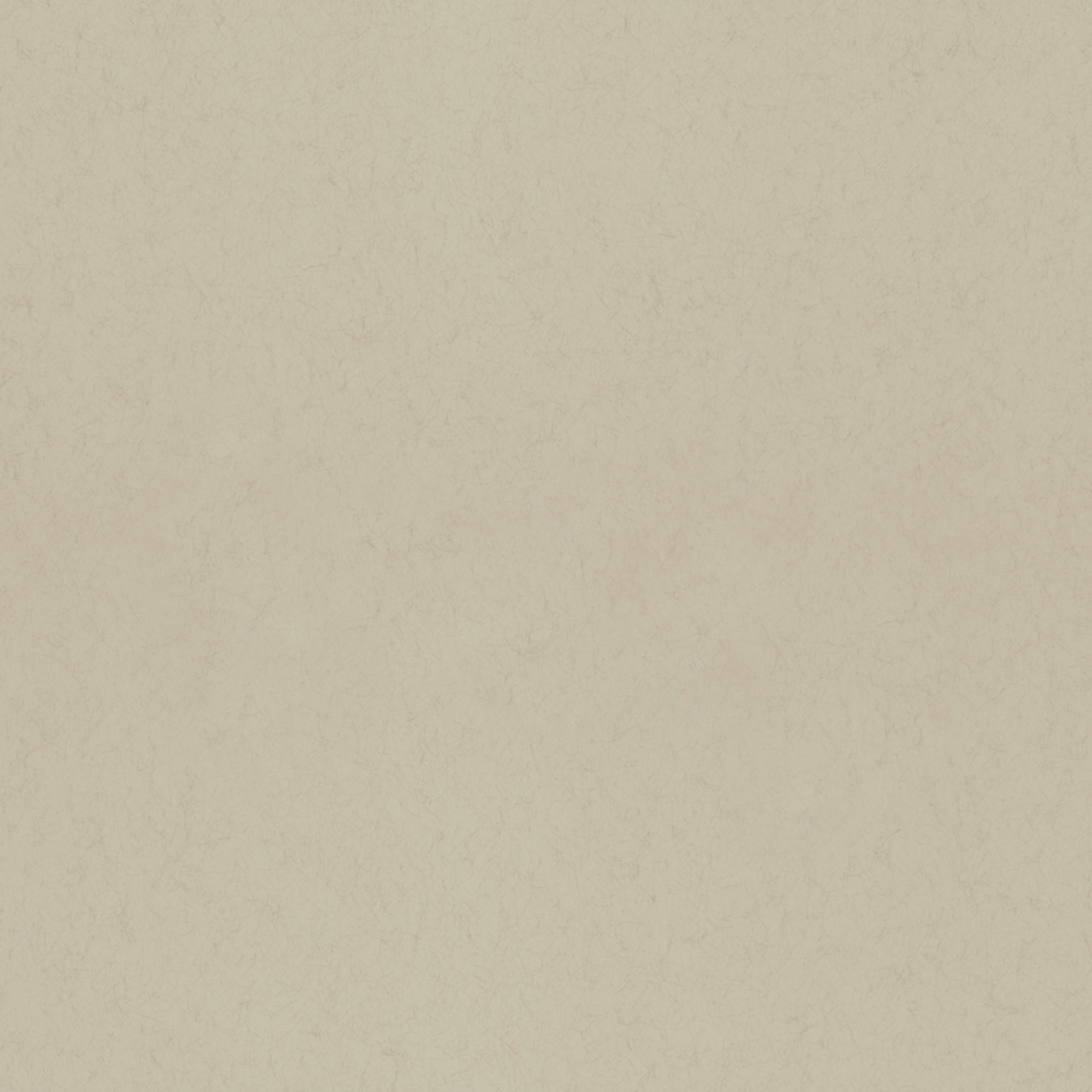 Rasch Textil Vliestapete Fagelsang Uni matt 077015 Rasch Textil Vliestapete Fagelsang Uni matt 077015