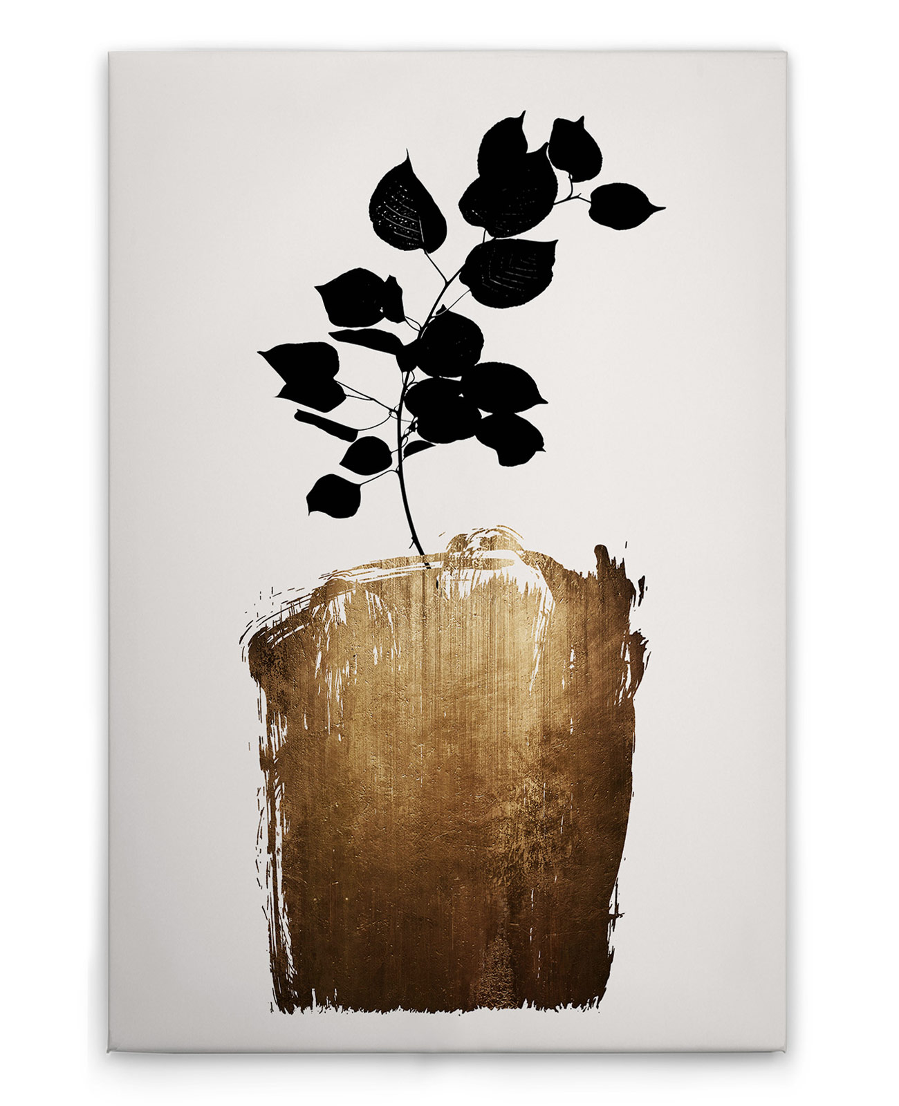 AS Leinwandbild Golden Scabiosa DD131804