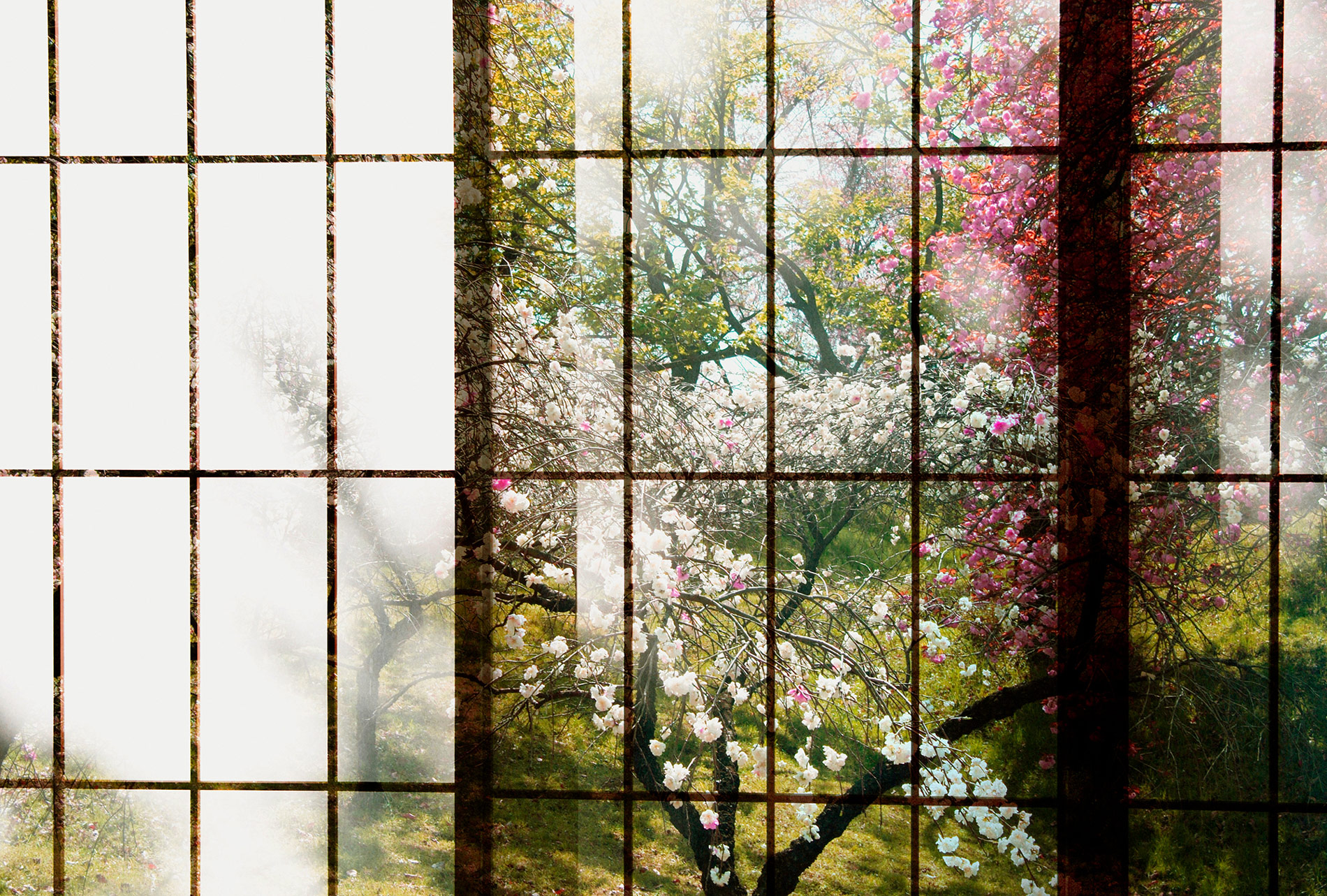 AS Fototapete Walls by Patel 2 Fenster DD113727