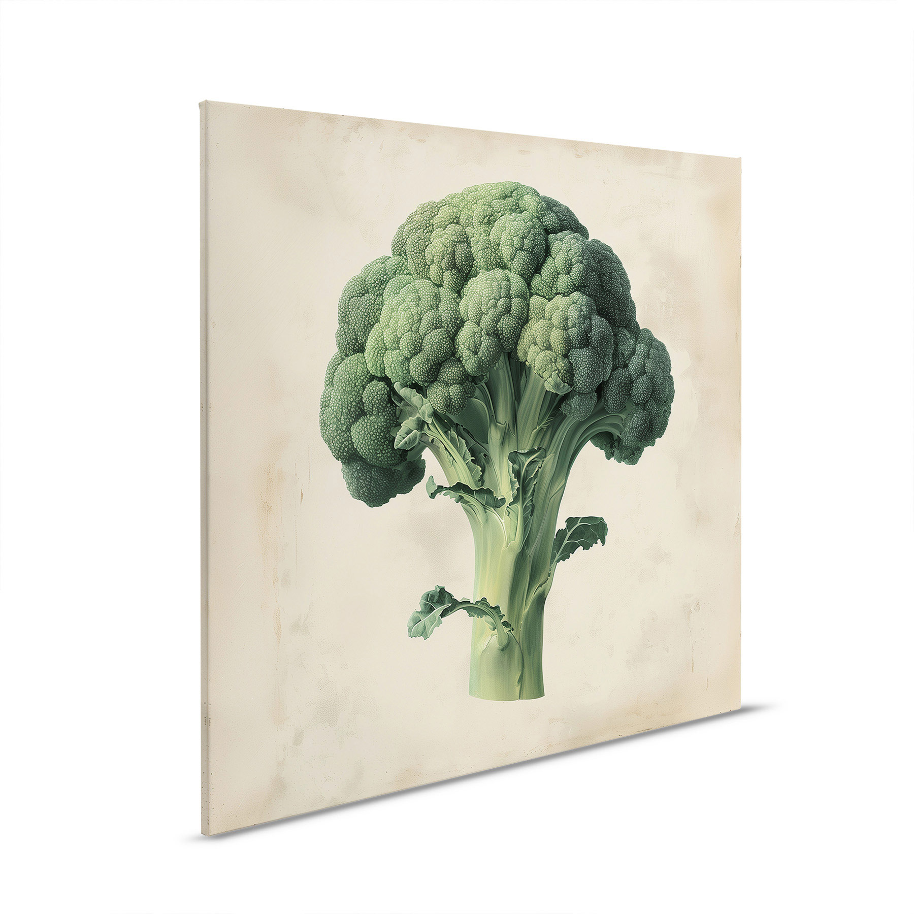 AS Leinwandbild Brokkoli DD132935