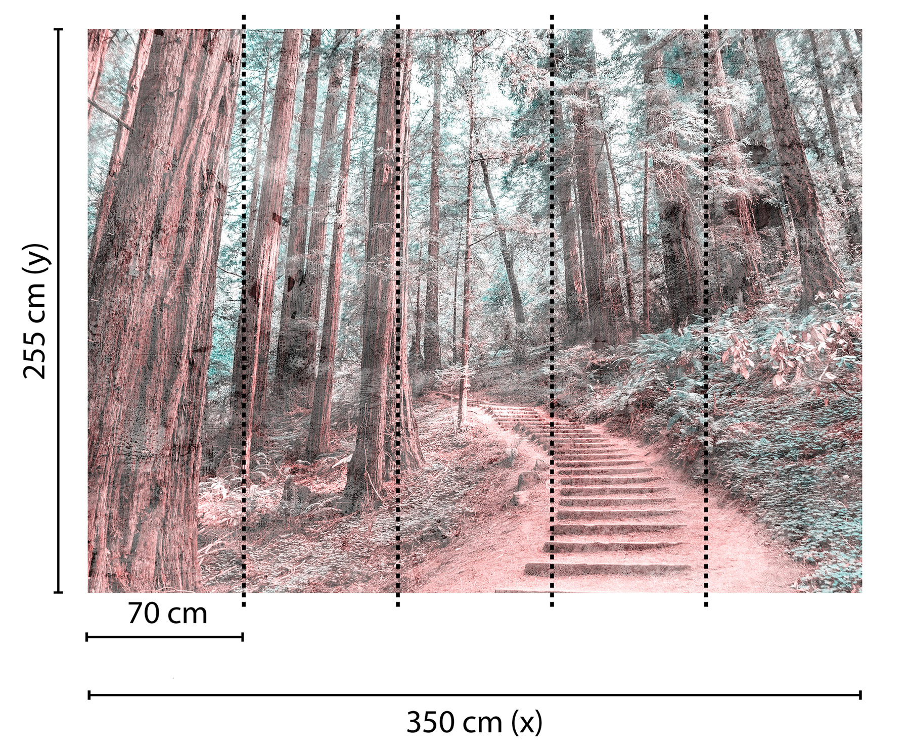 AS Fototapete Designwalls ForestWalk DD118628