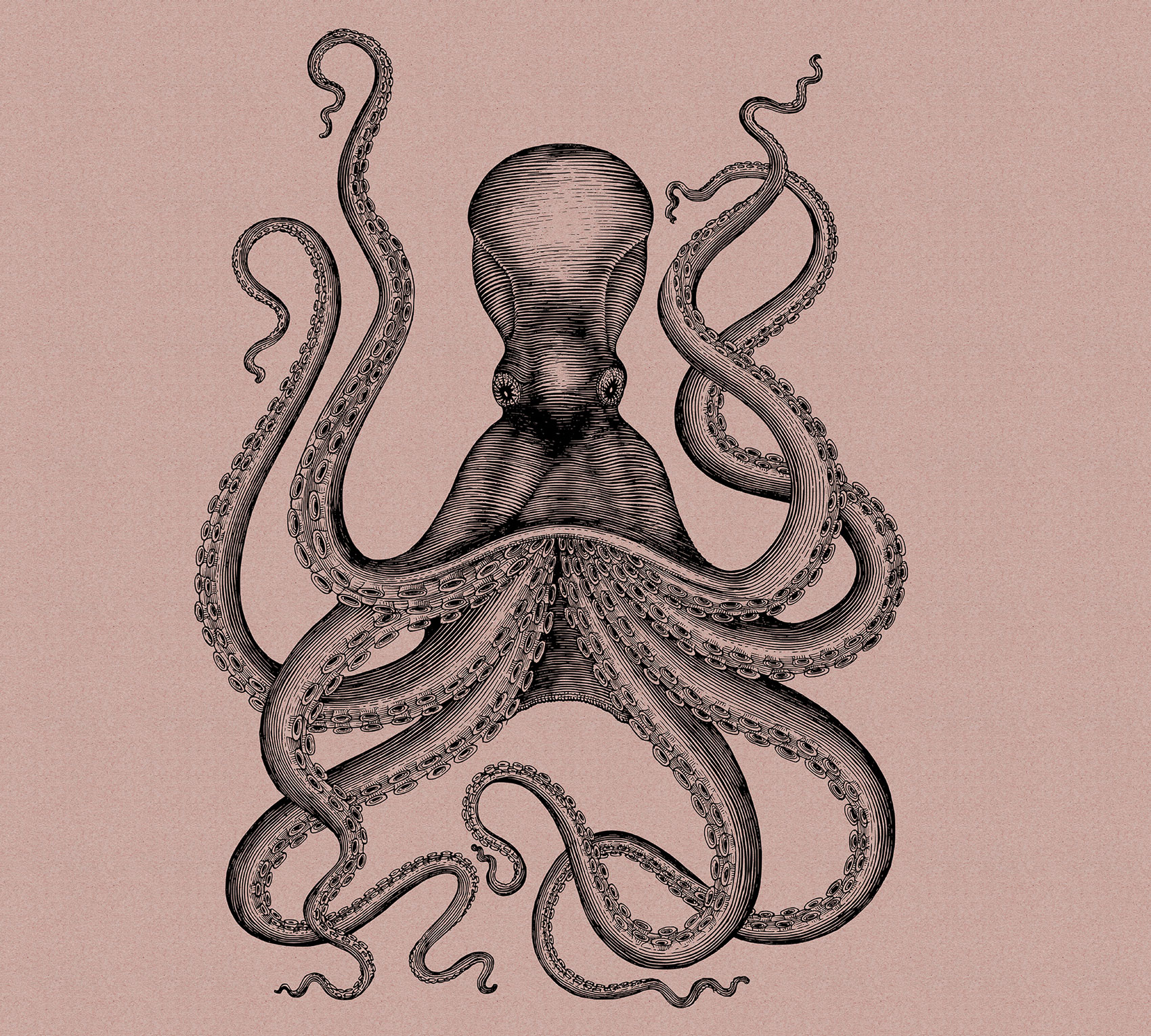 AS Fototapete Walls by Patel 2 Tiere DD114282