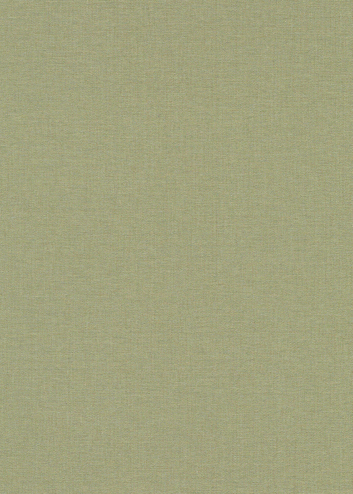 Erismann Vliestapete Secret Garden Unitapete 1051007