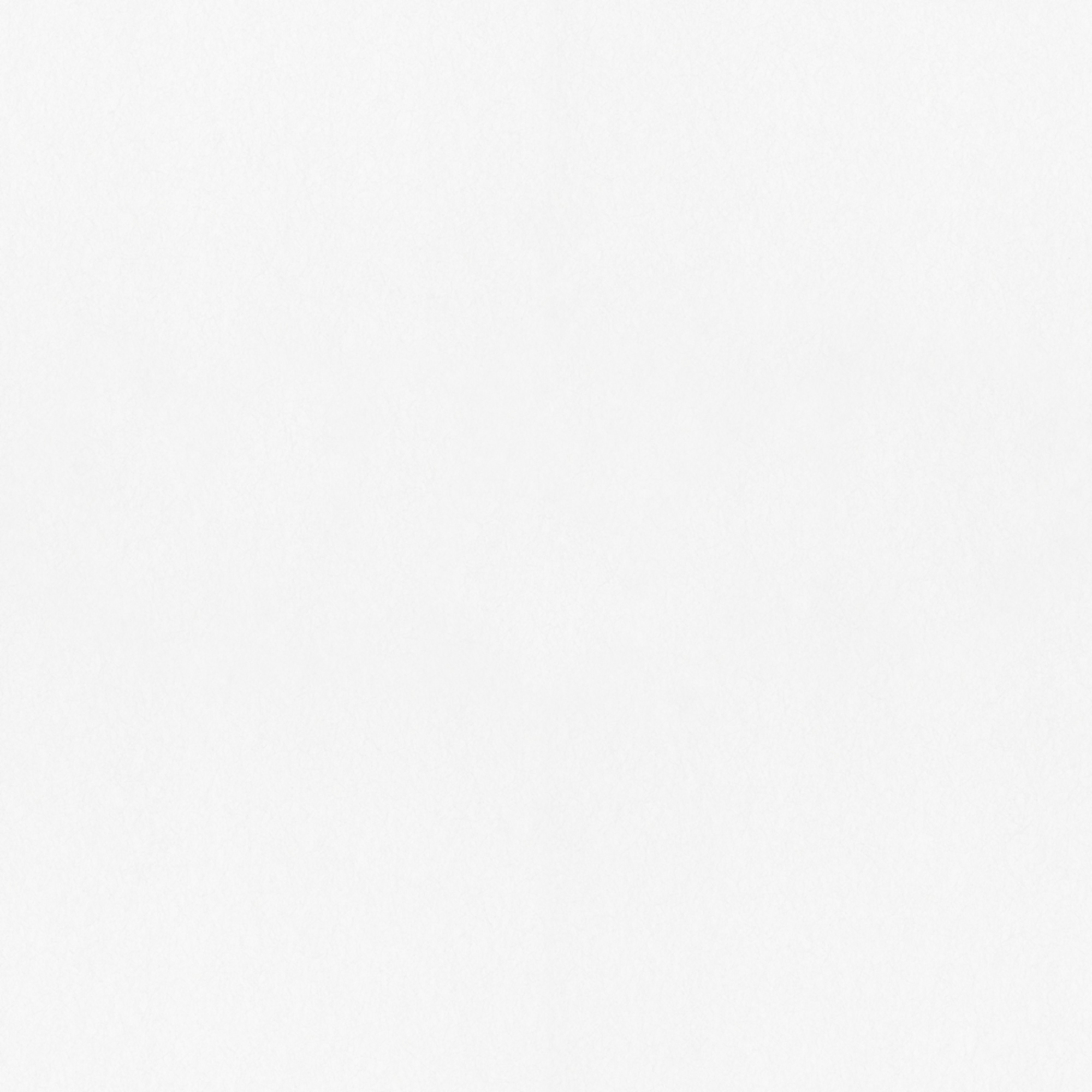 Rasch Textil Vliestapete Fagelsang Uni matt 077011 Rasch Textil Vliestapete Fagelsang Uni matt 077011