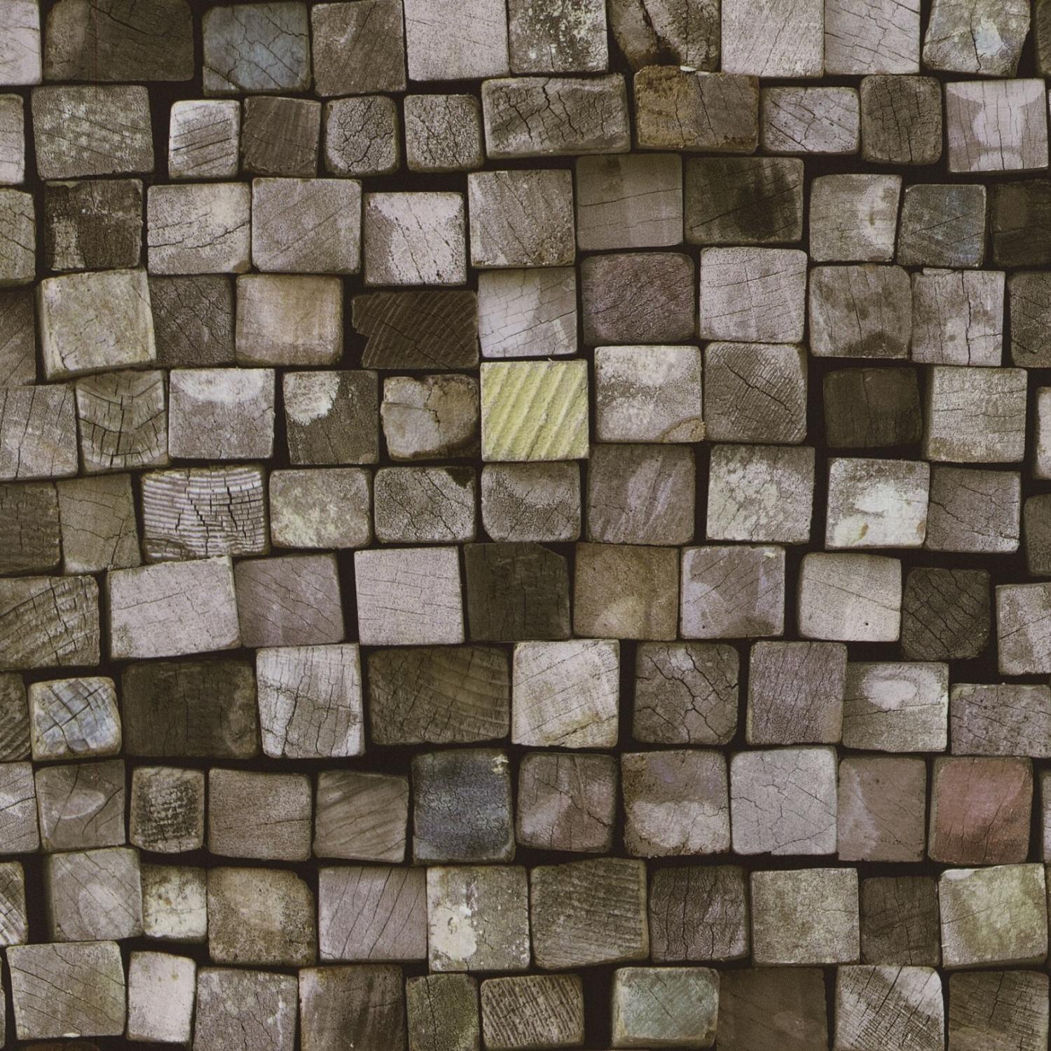 P+S Vliestapete Holz Origin 4210120 / 42101-20 P+S Vliestapete Holz Origin 4210120 / 42101-20