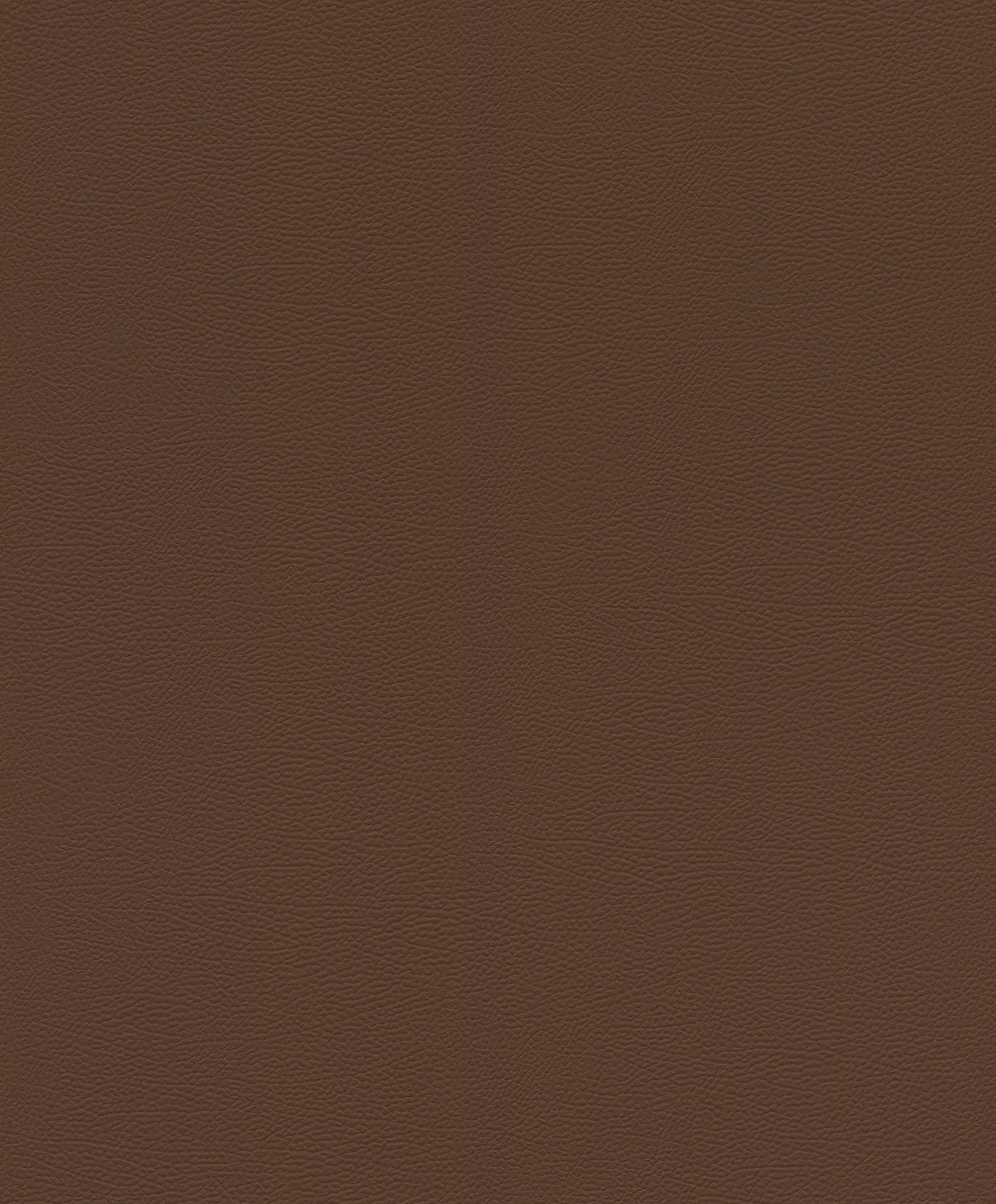 Rasch Vliestapete African Queen 3 Elefantenhaut 752663