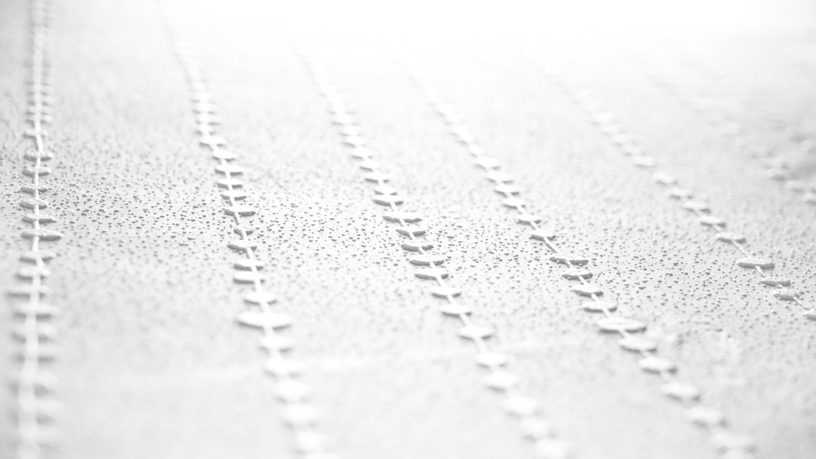 AS Vliestapete Meistervlies 8 überstreichbar 384711